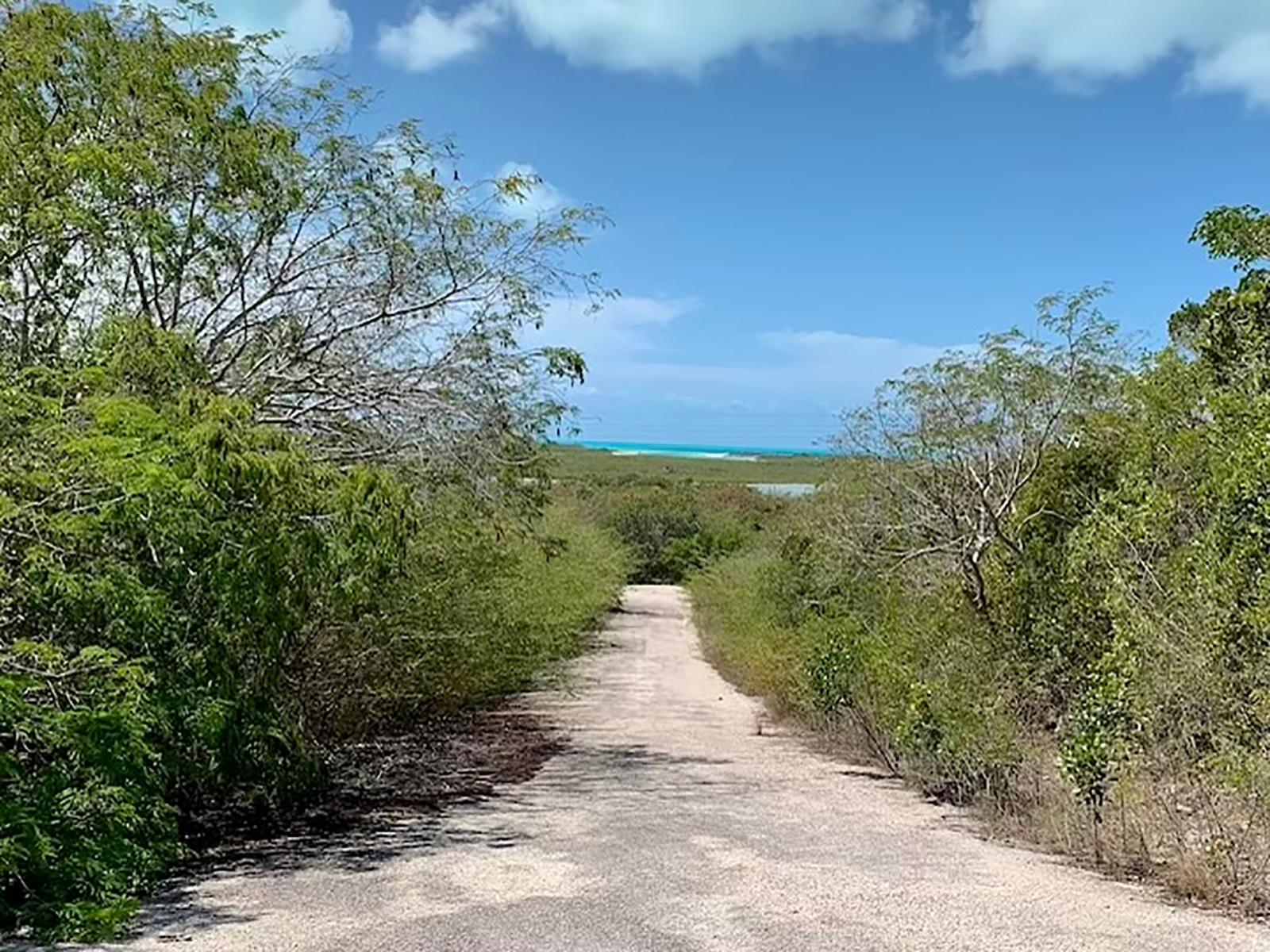 LOTS #913,912,911 EXUMA