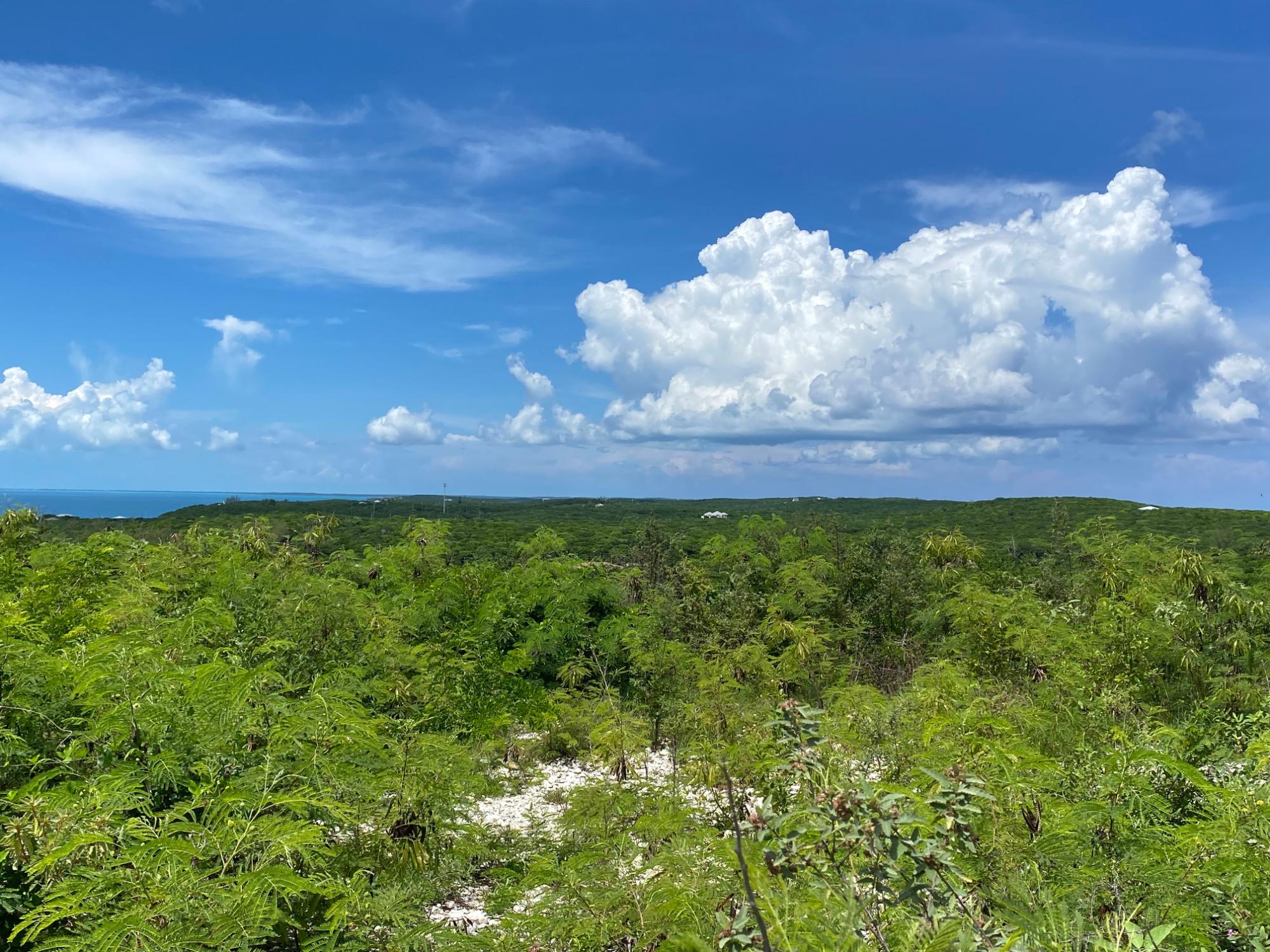 ELEUTHERA ISLAND SHORES