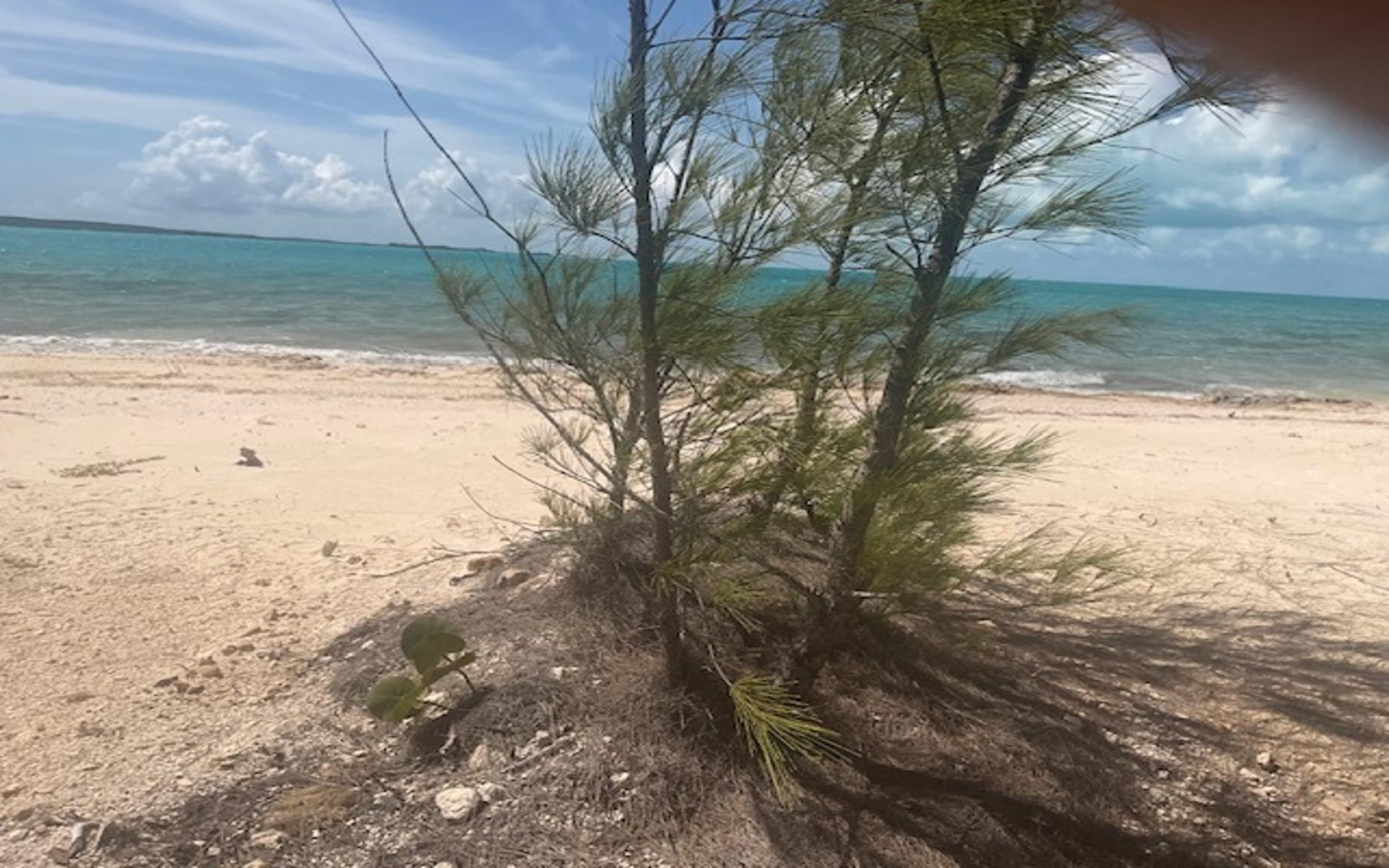 2A INDIAN HOLE POINT