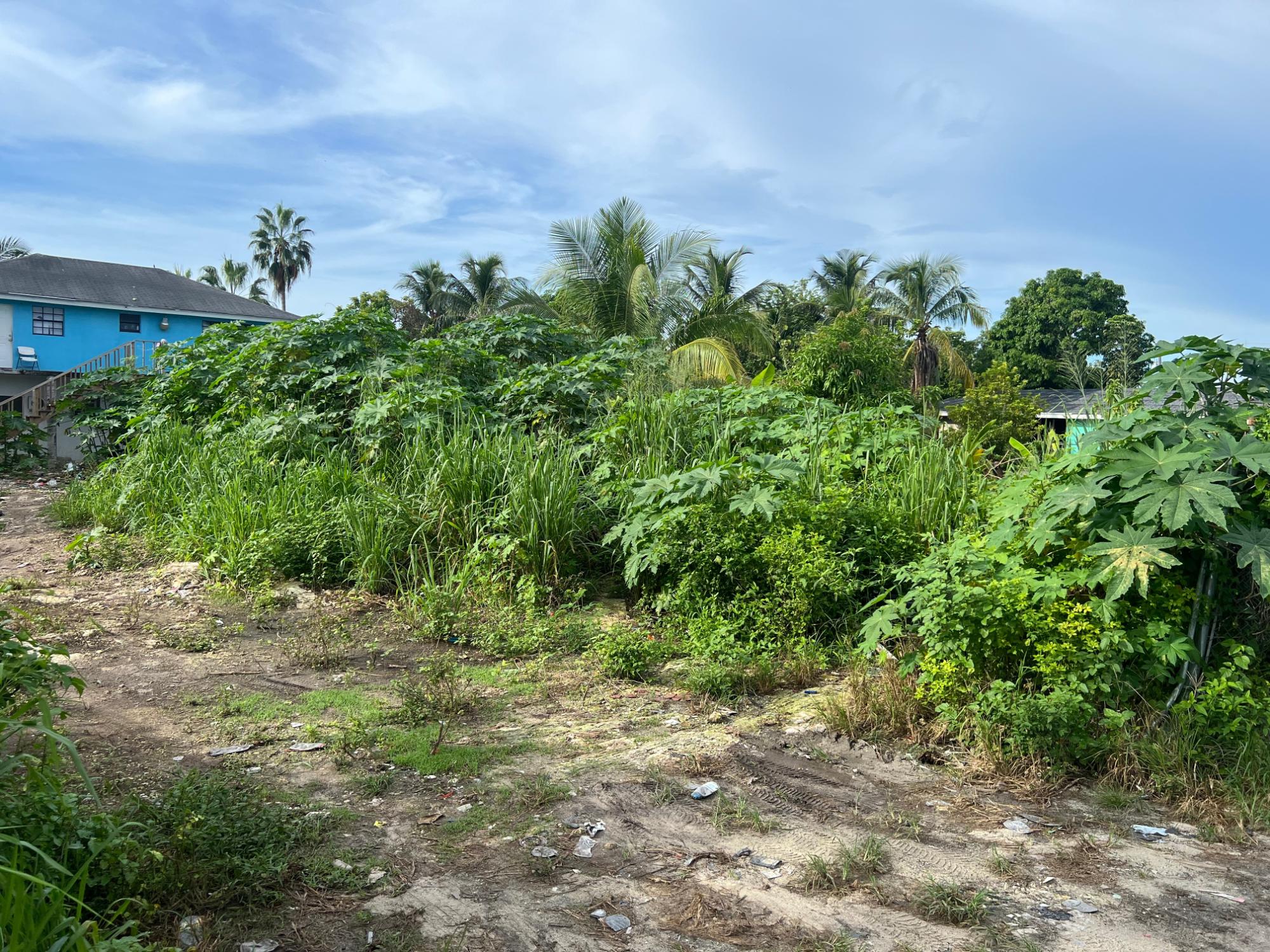 ST. LUKE AVENUE