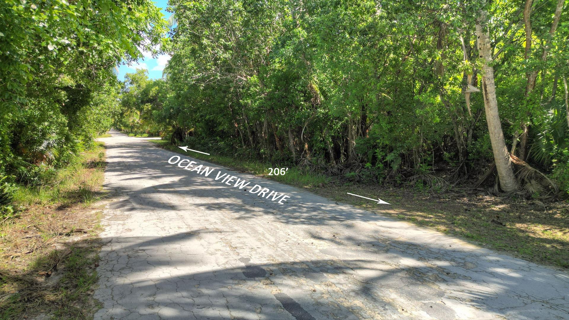 LOT 1 BAHAMA PALM SHORES