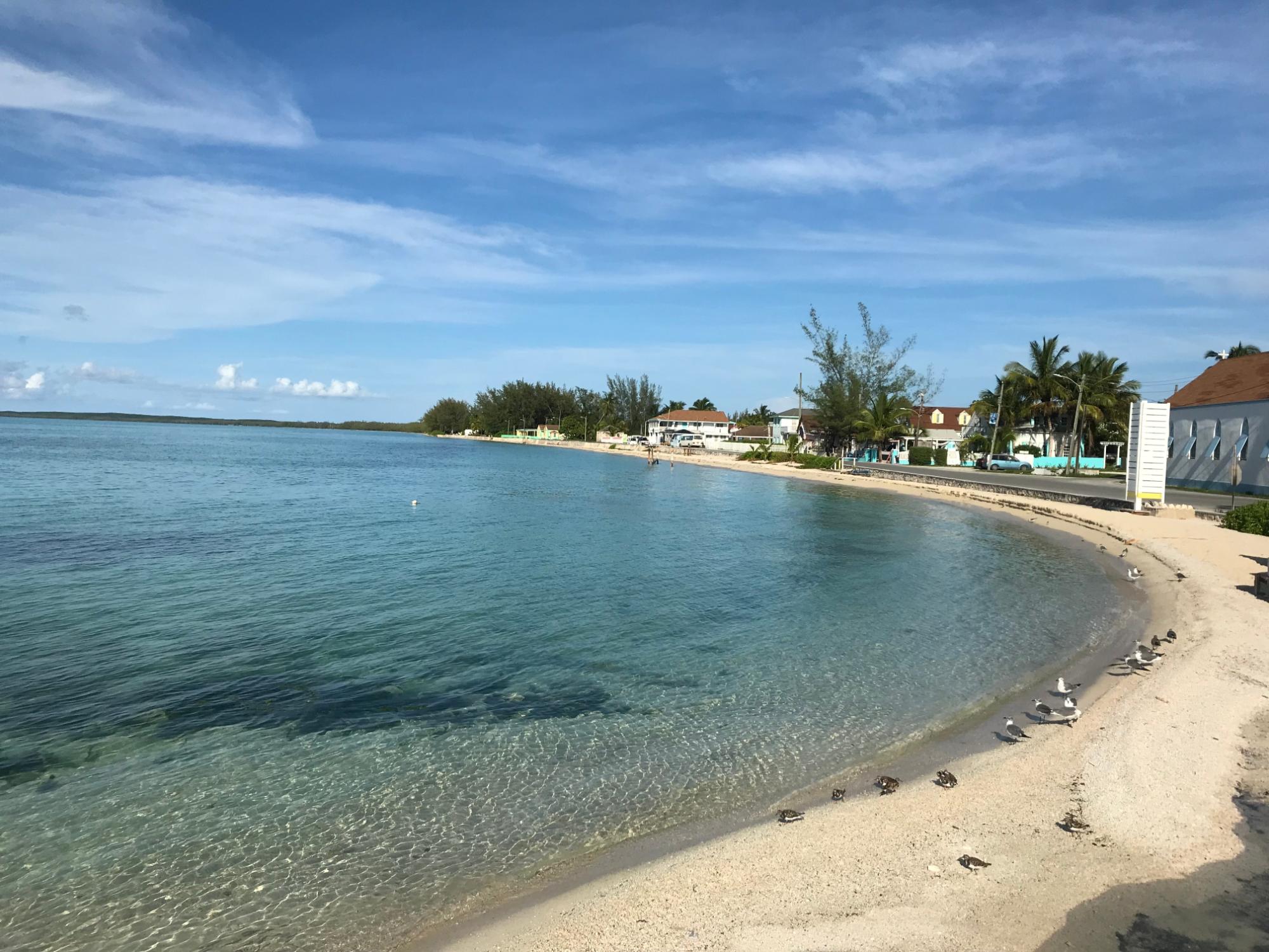 EXQUISITE PALMS LOT #5