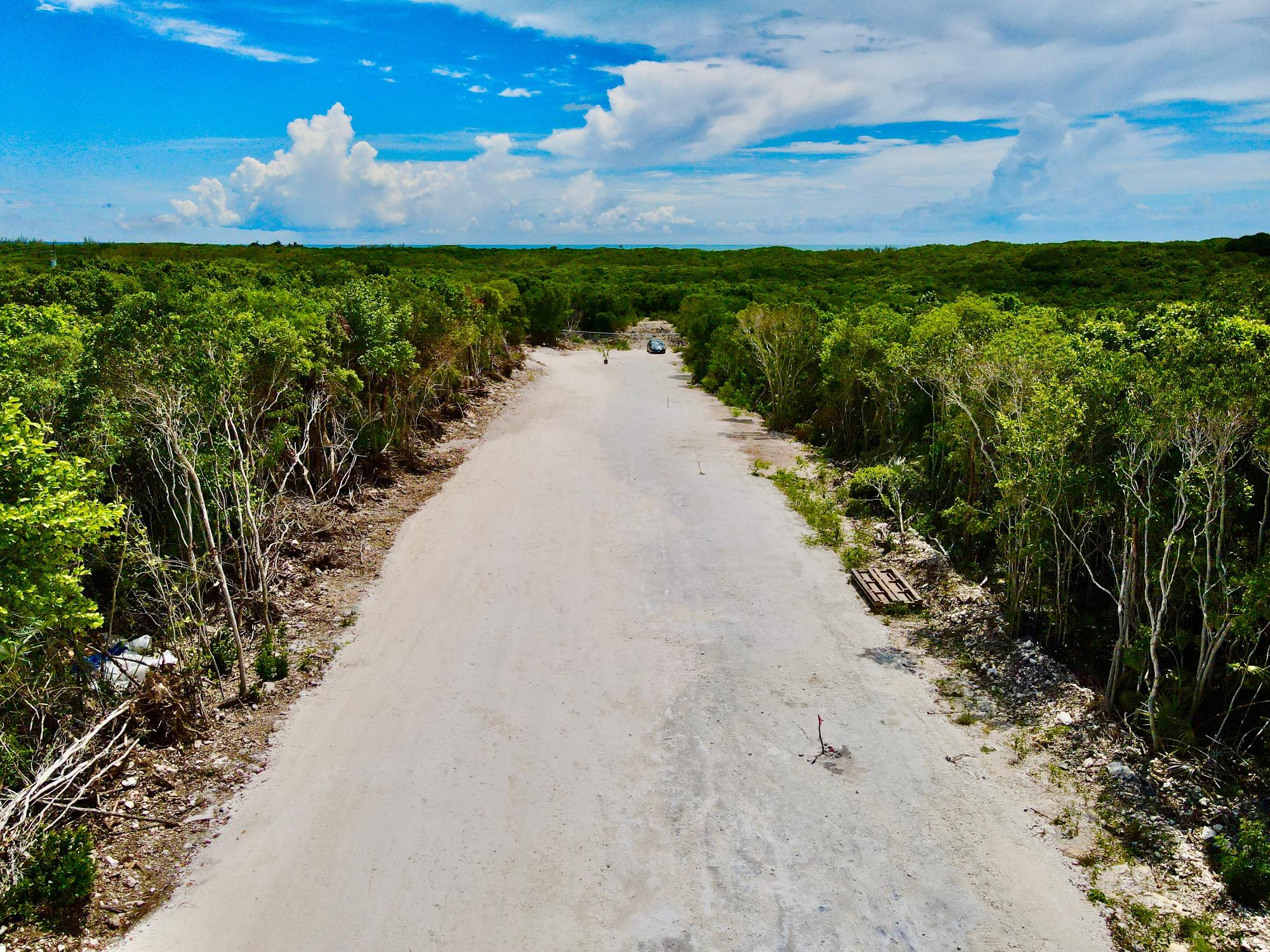 EXQUISITE PALMS LOT #5