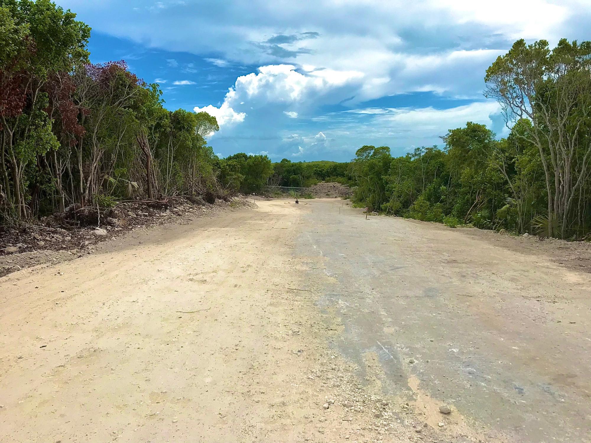 EXQUISITE PALMS LOT# 18