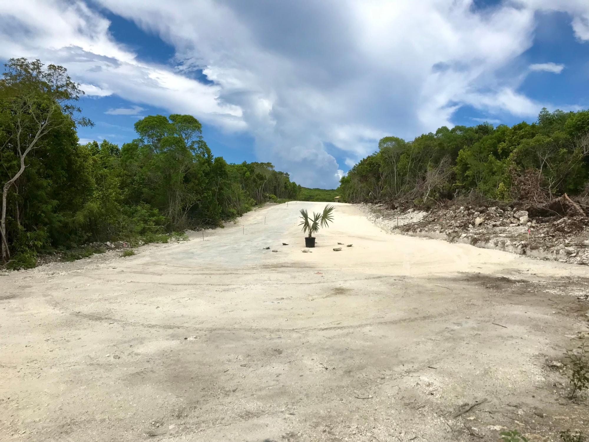 EXQUISITE PALMS LOT# 18