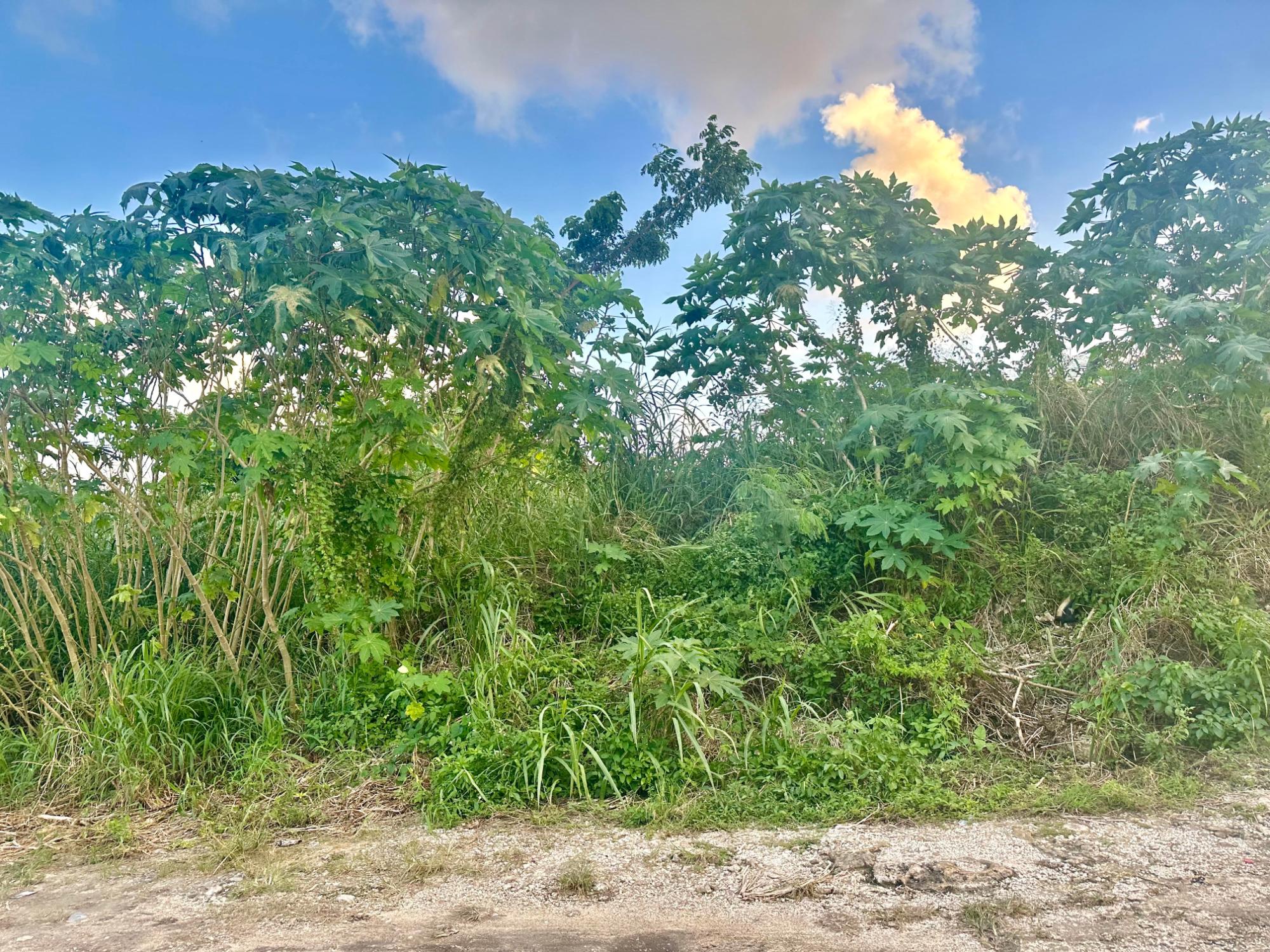 GARDEN HILLS VACANT LOT
