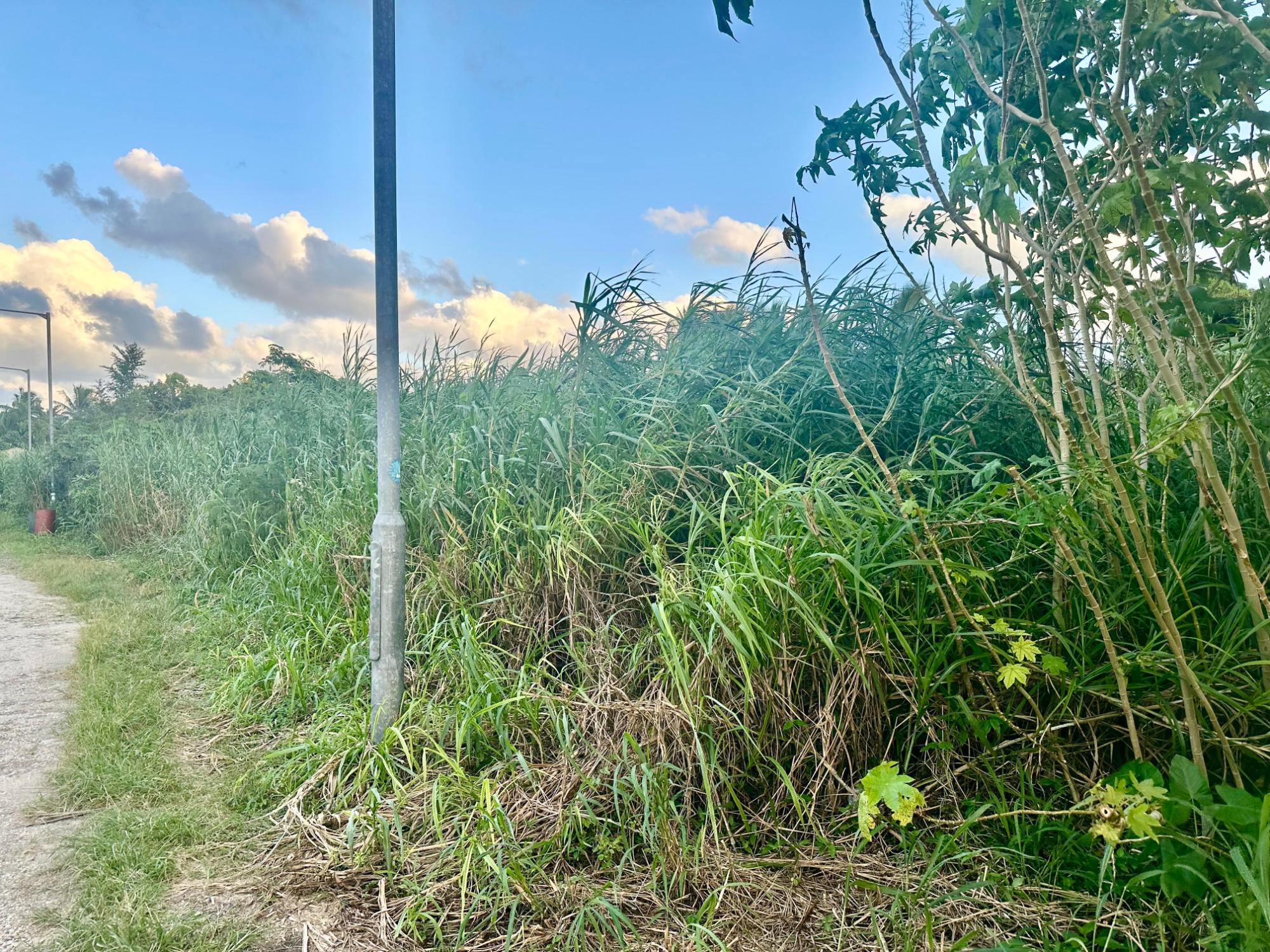 GARDEN HILLS VACANT LOT