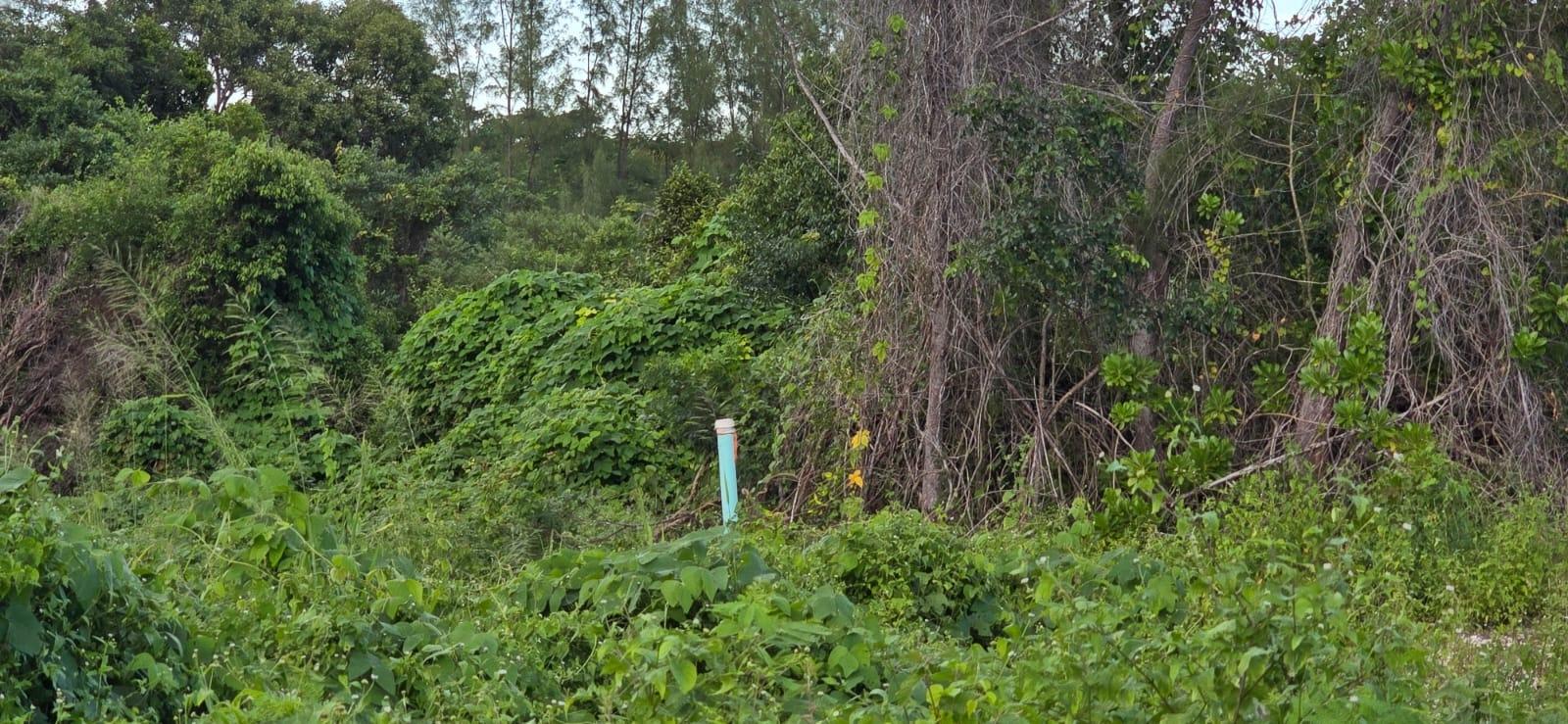 JACARANDA ESTATES LOT 46