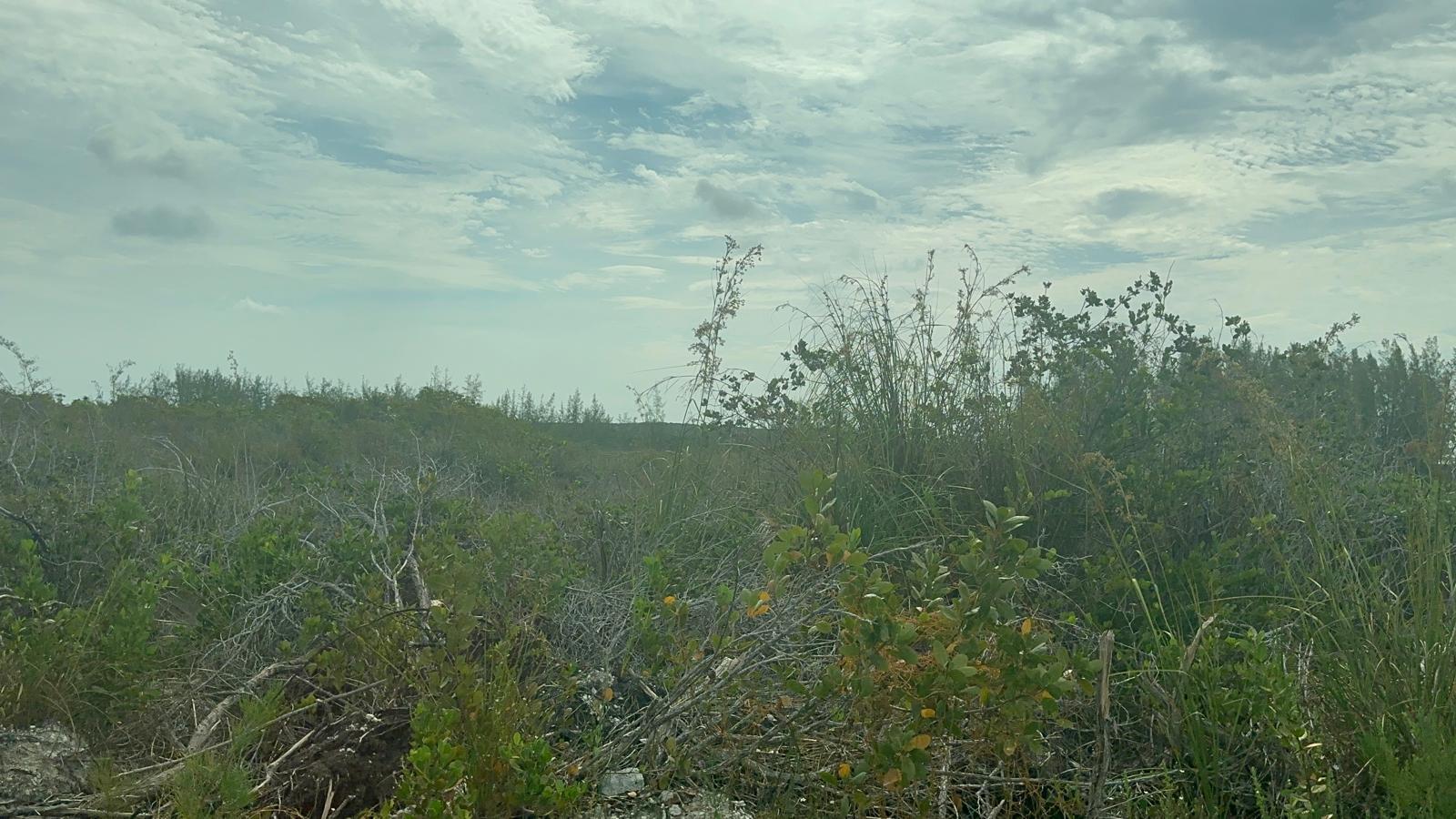 2 BULLARD’S TARPUM BAY