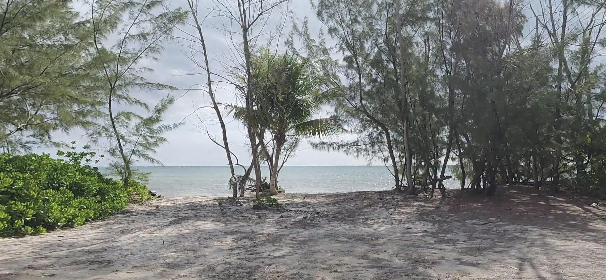 Mangrove Cay Acreage