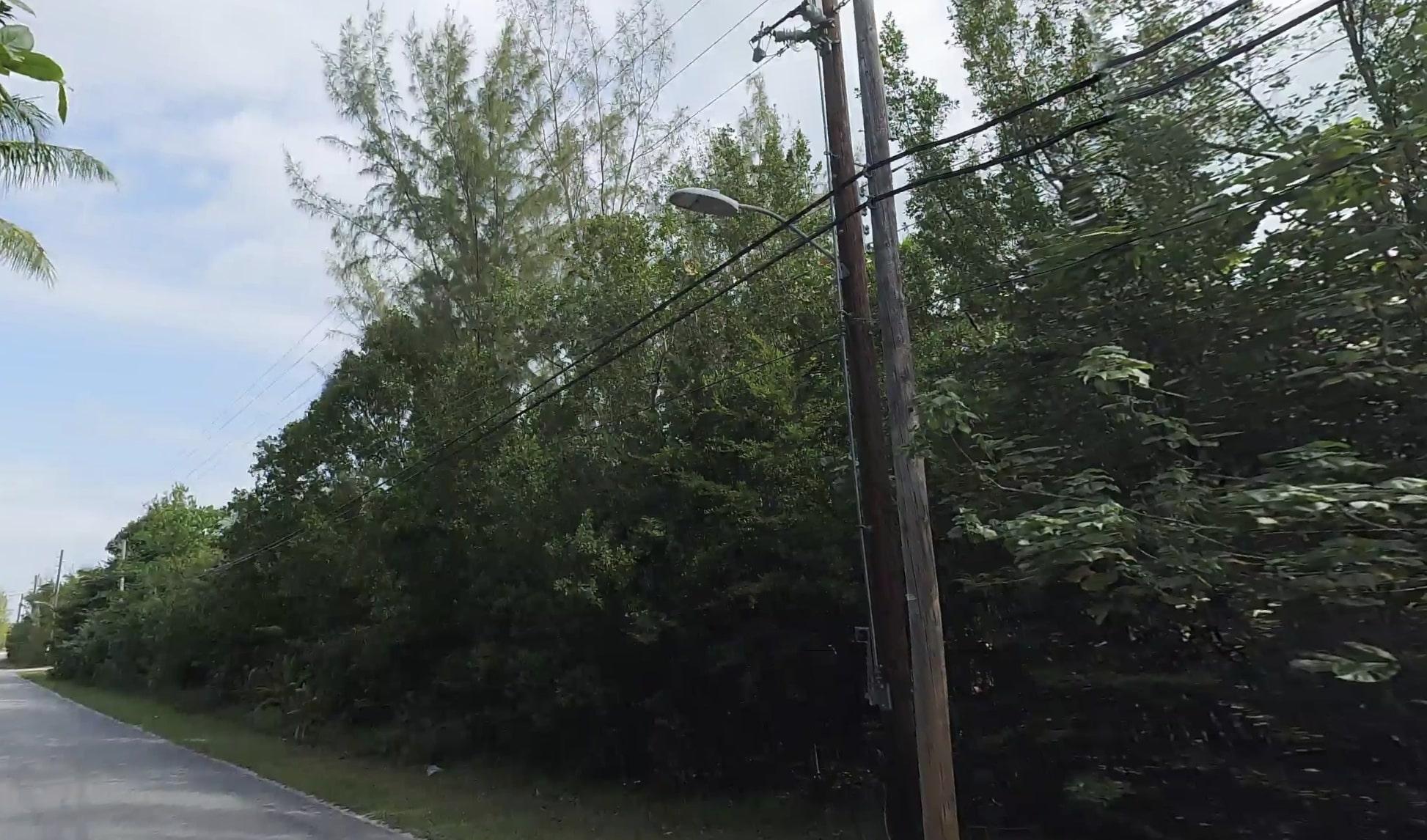 Mangrove Cay Acreage