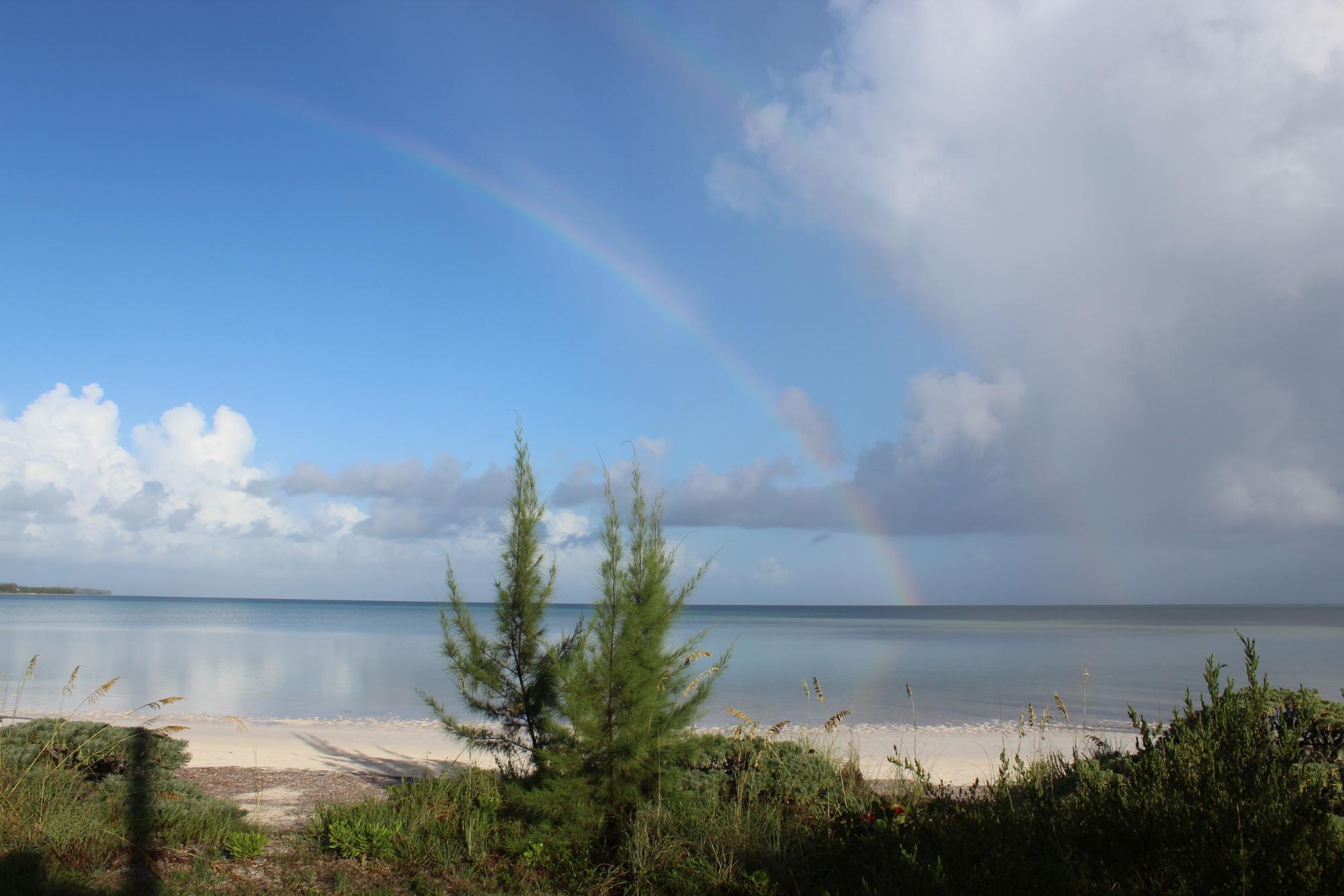 LEO PINDER MAIN STREET