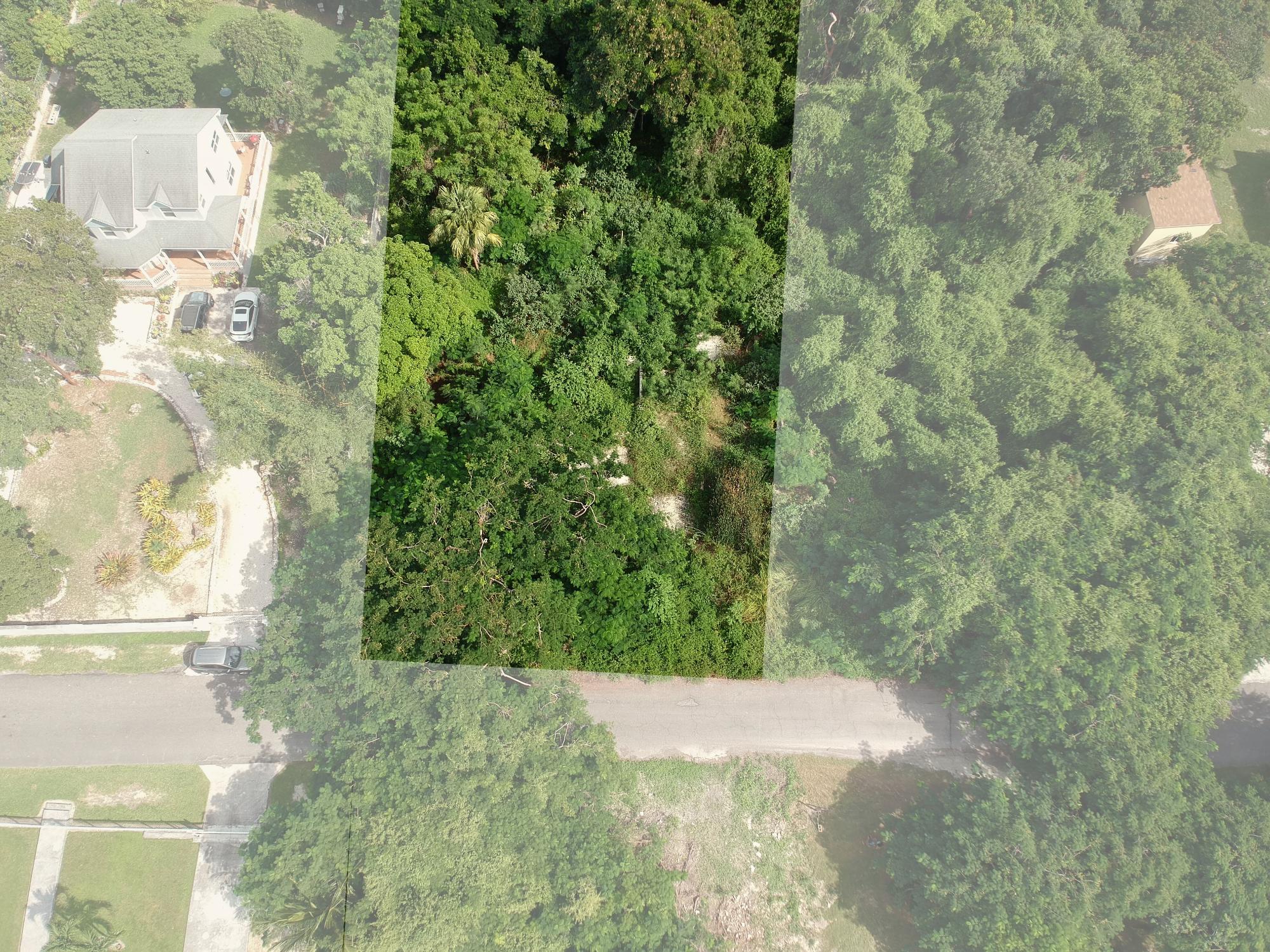 #18 Blackbeard Terra