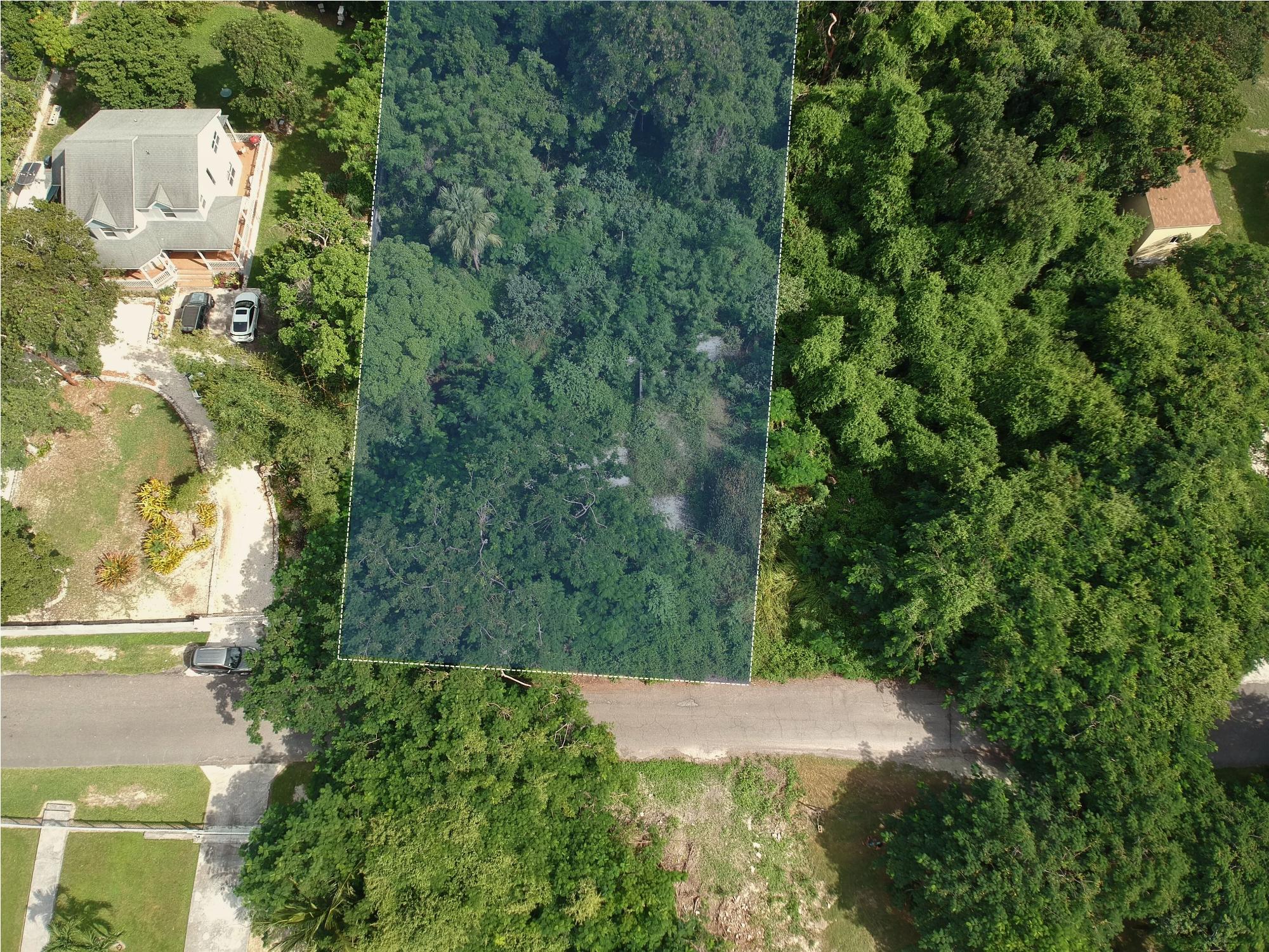 #18 Blackbeard Terra