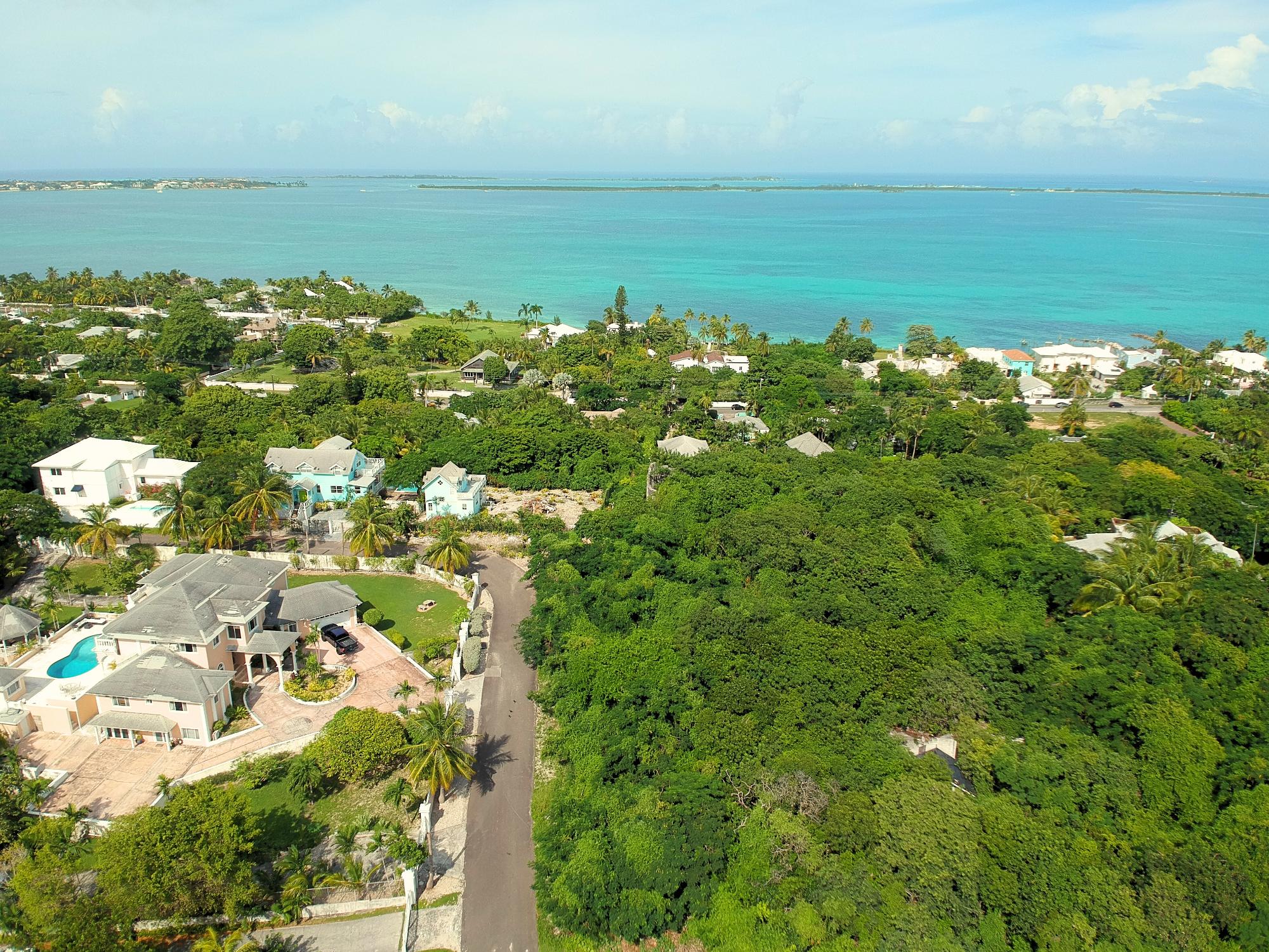 #18 Blackbeard Terra