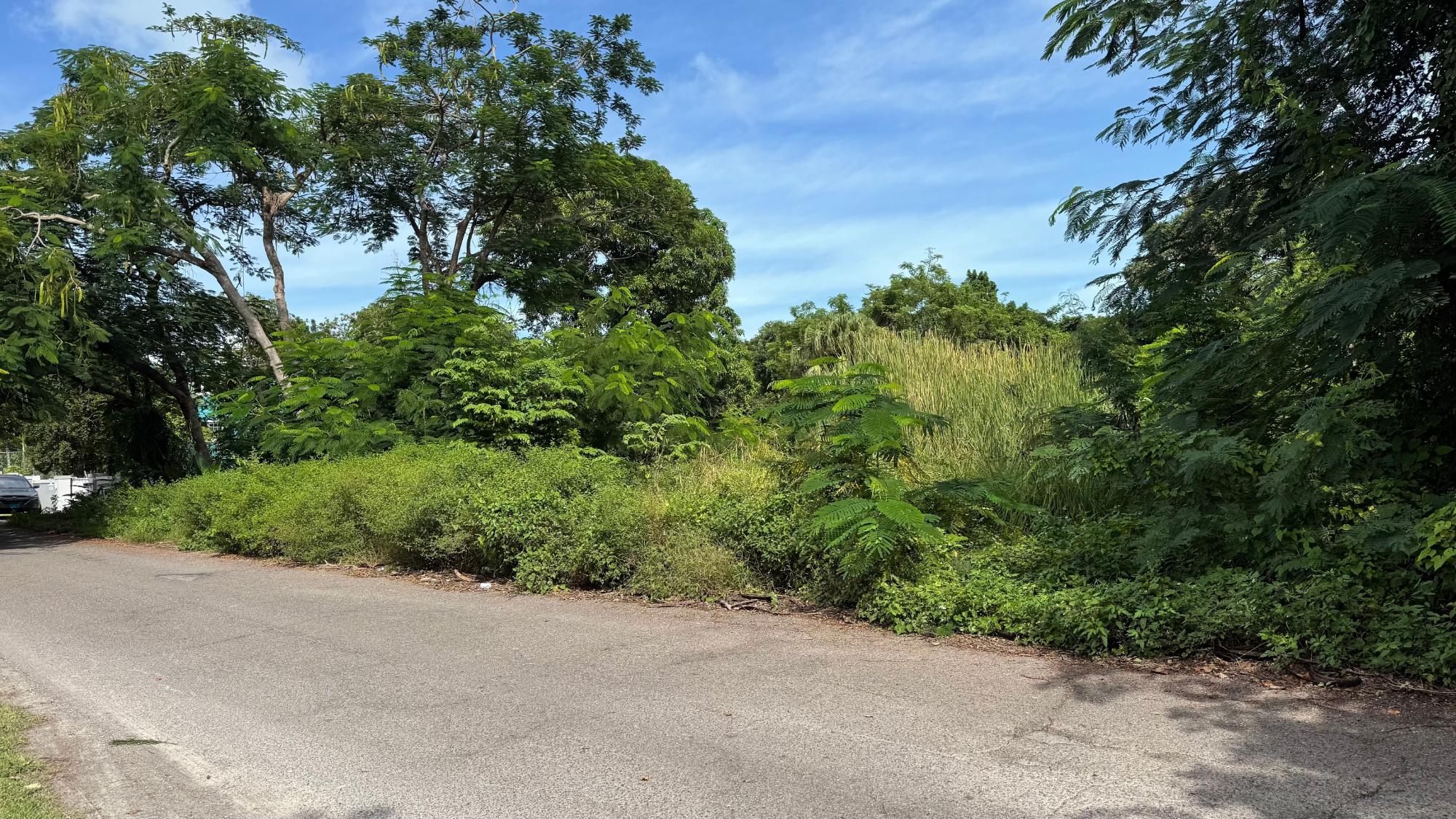 #18 Blackbeard Terra