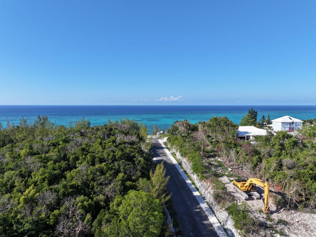 TROPICAL GARDENS OLYMPIC