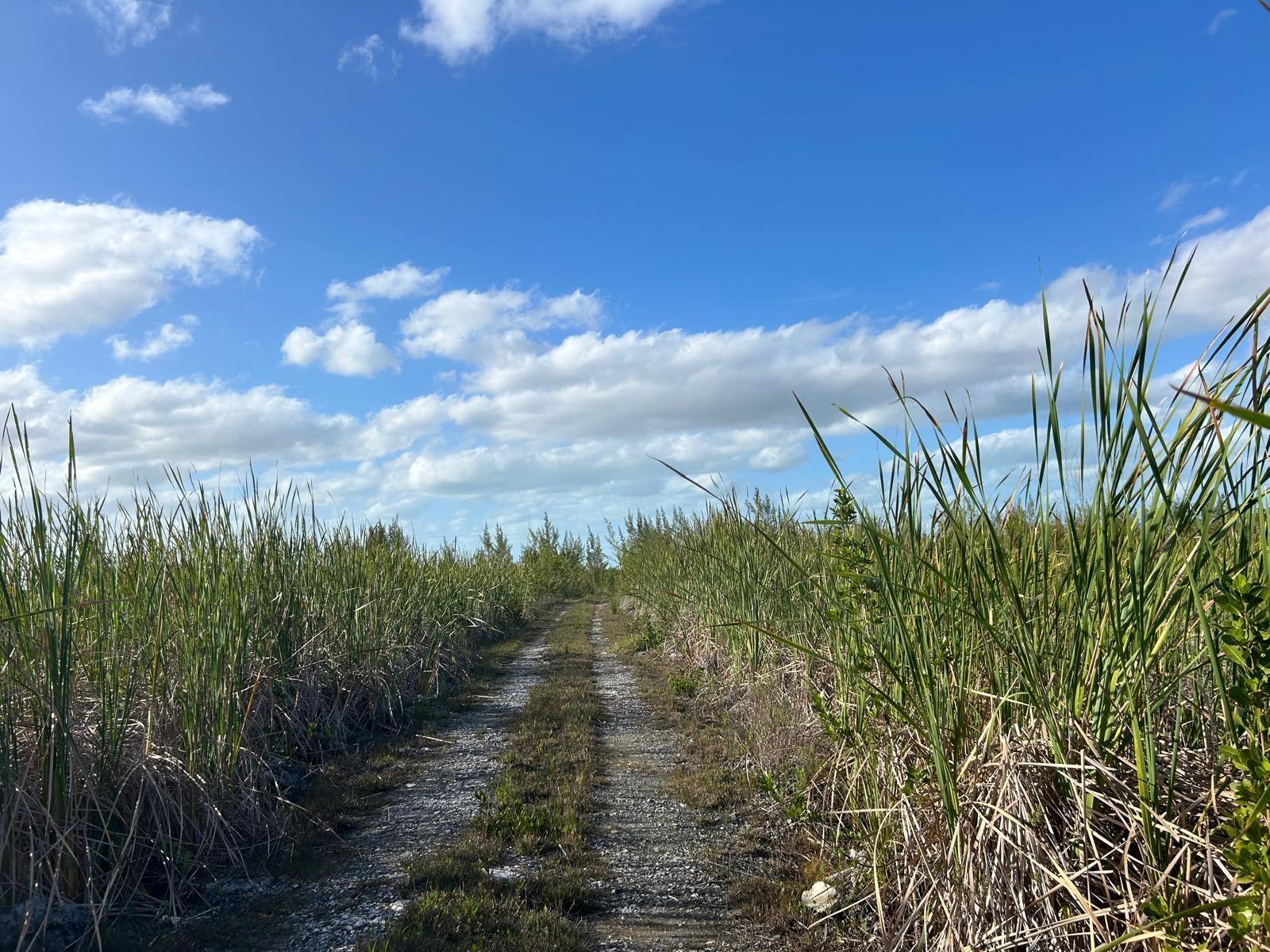 10 ACRES GRAND BAHAMA