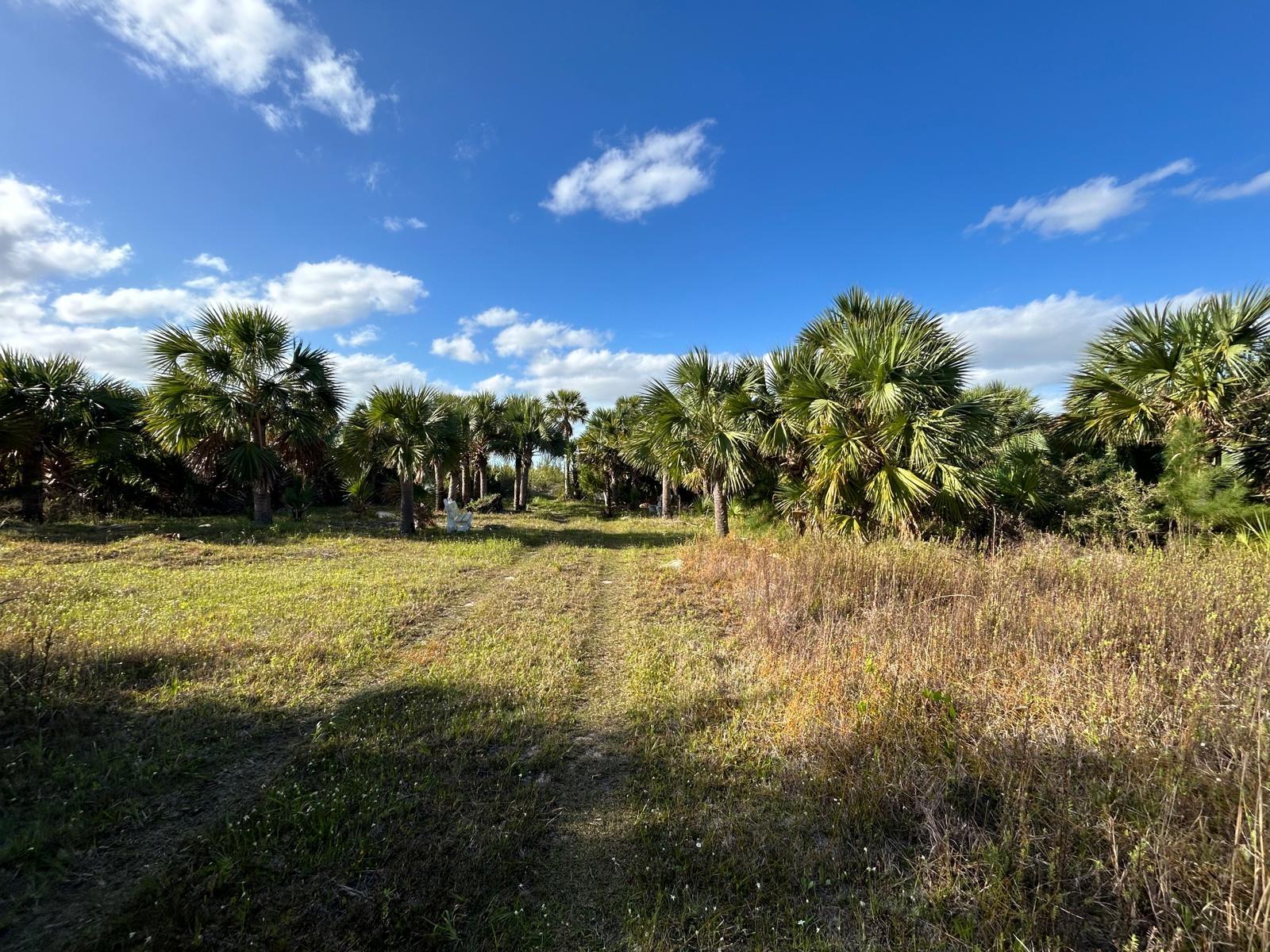 10 ACRES GRAND BAHAMA