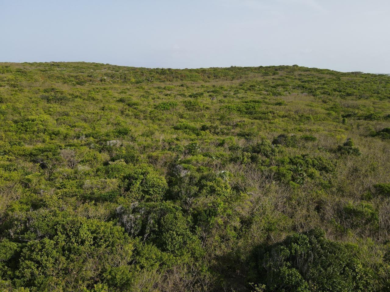 28.45ACRES DOCTOR’S CREEK