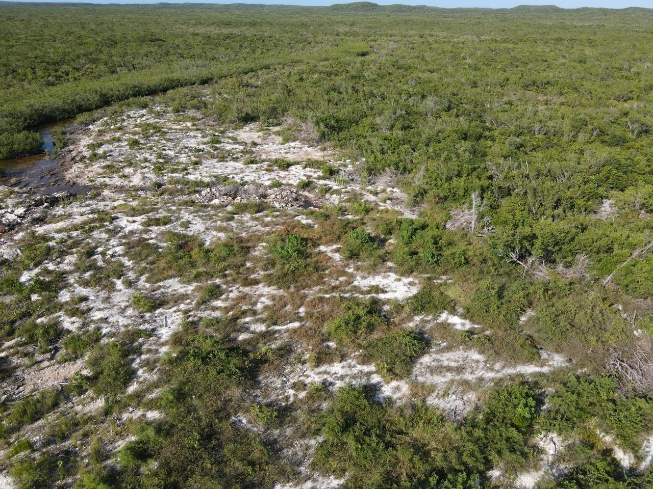 6 ACRES DOCTOR’S CREEK