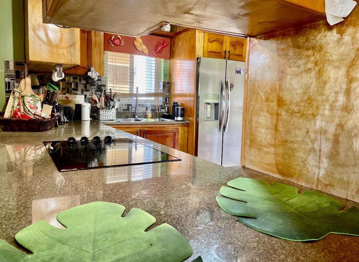 HOSTA CLOSE TROPICAL GARD