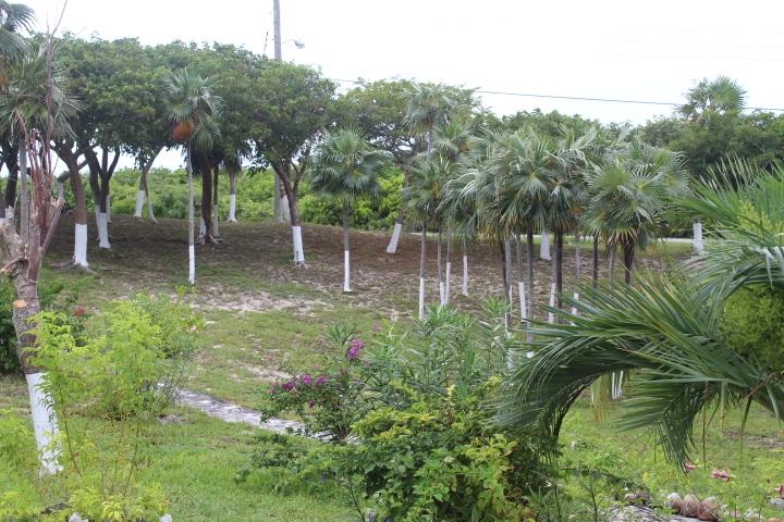 STELLA MARIS LOT# 94