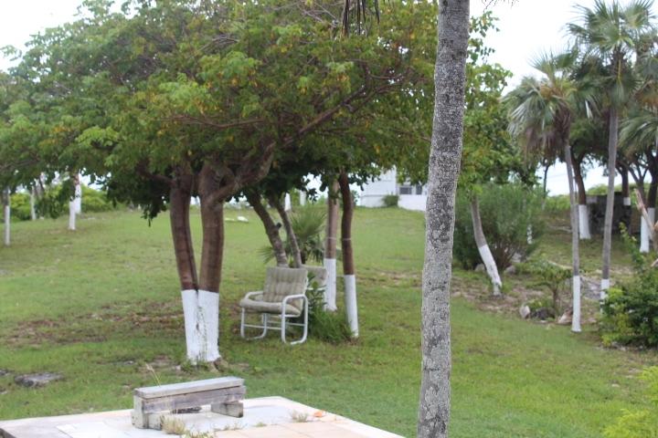 STELLA MARIS LOT# 94