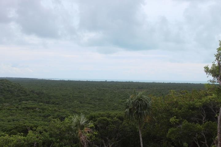 STELLA MARIS LOT# 94