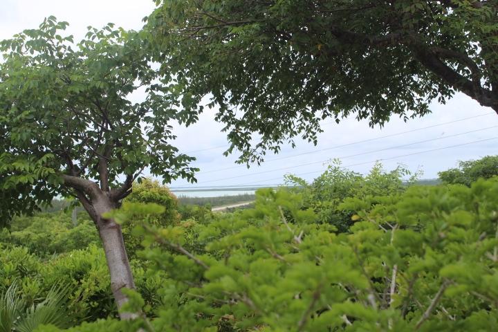 STELLA MARIS LOT# 94