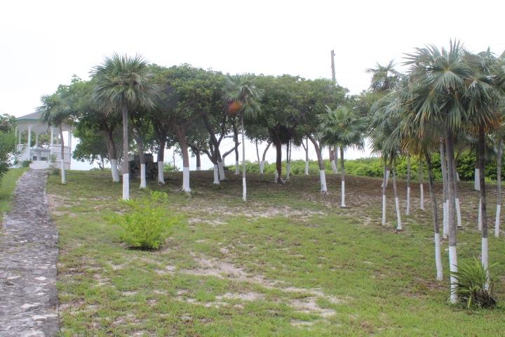 STELLA MARIS LOT# 94