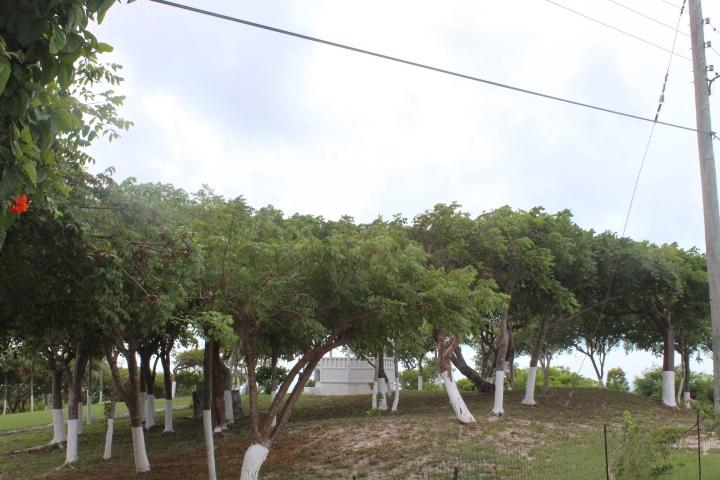 STELLA MARIS LOT# 94