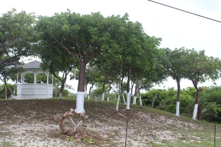 STELLA MARIS LOT# 94