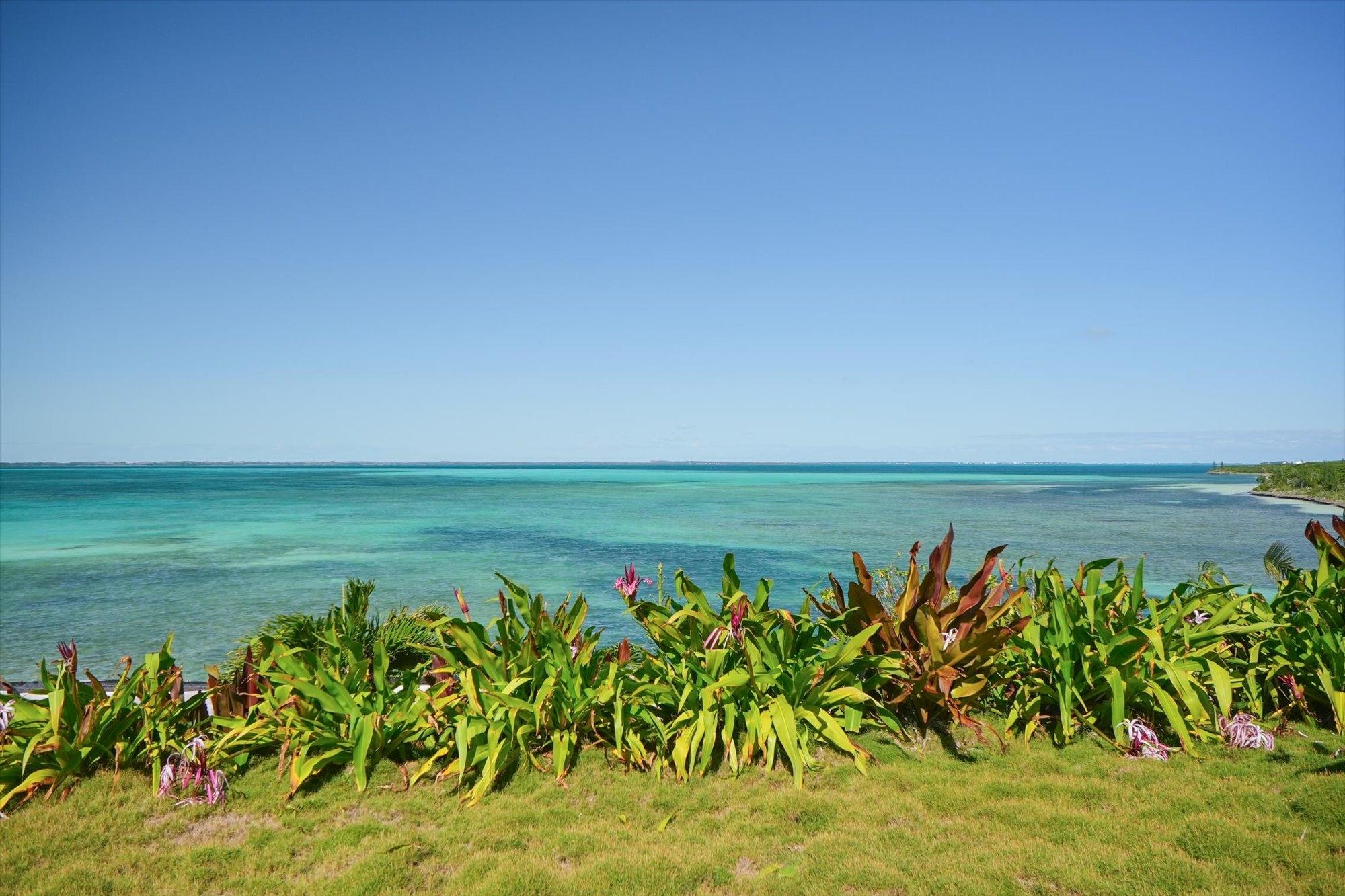 21 ACRES SOUTH END TILLOO