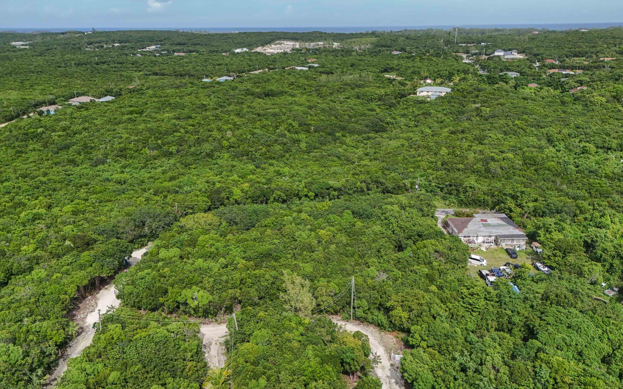 SOUTH PALMETTO POINT