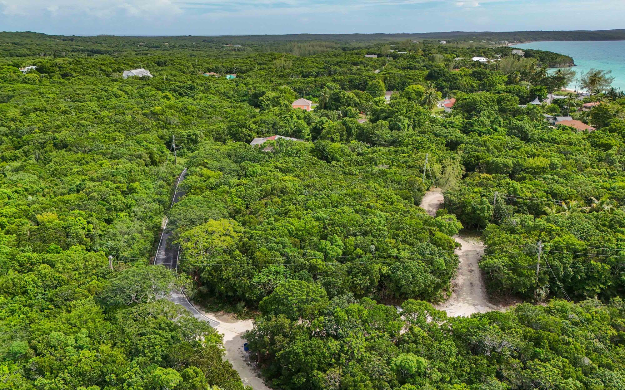 SOUTH PALMETTO POINT