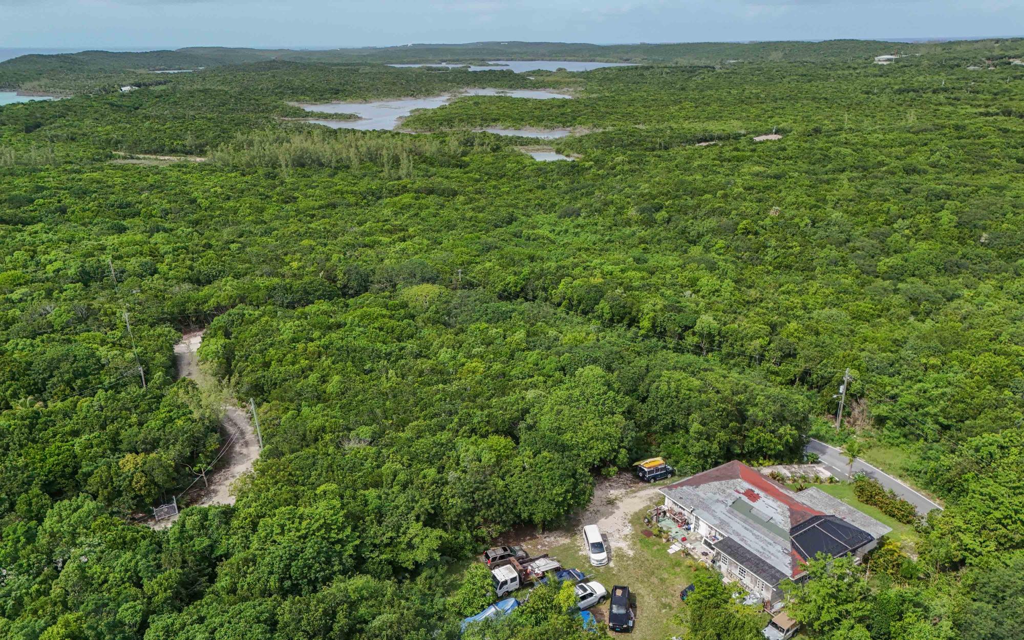 SOUTH PALMETTO POINT