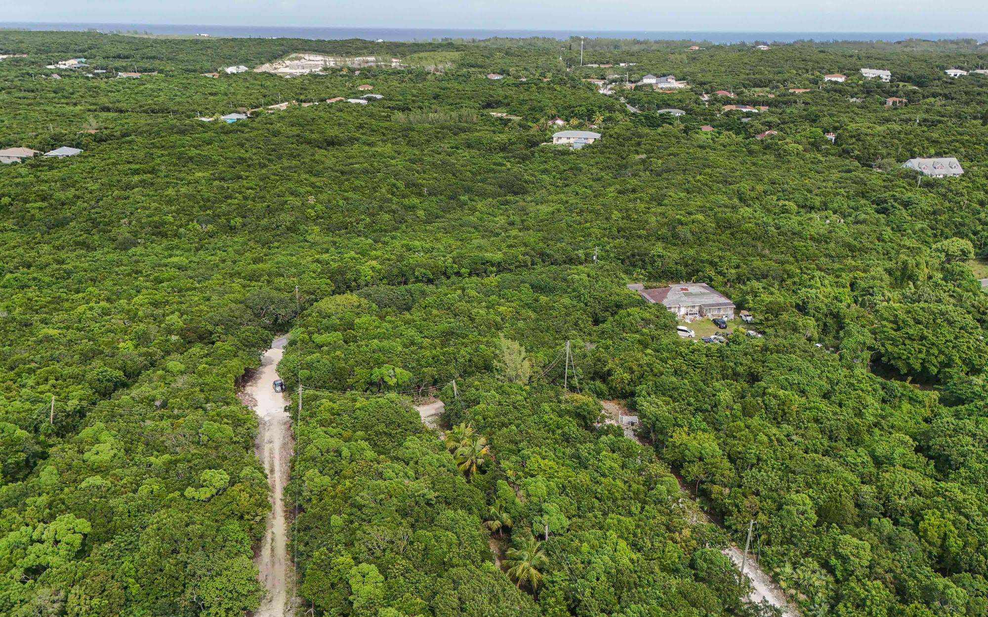 SOUTH PALMETTO POINT