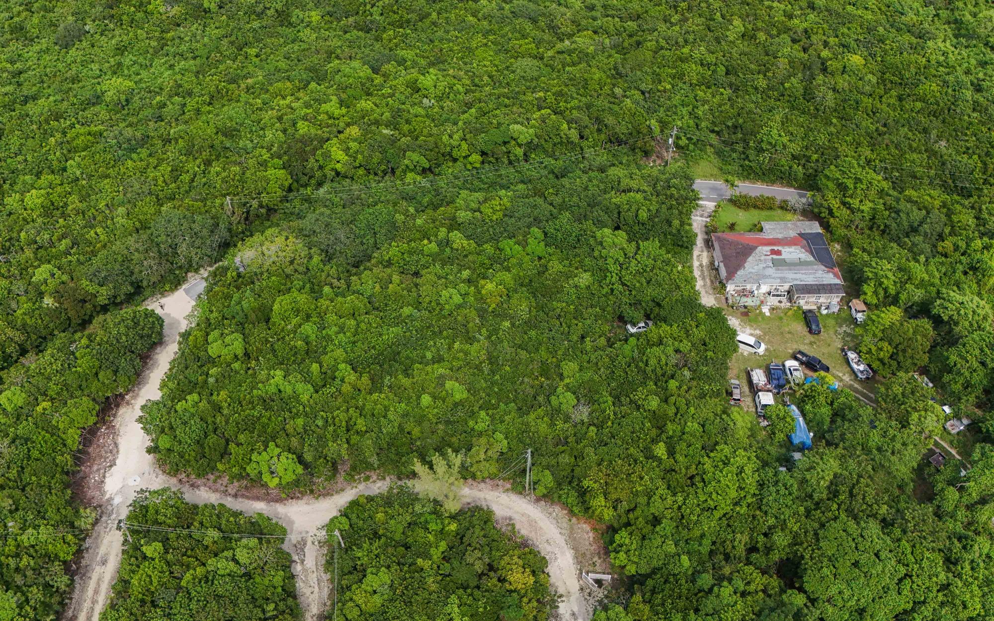 SOUTH PALMETTO POINT