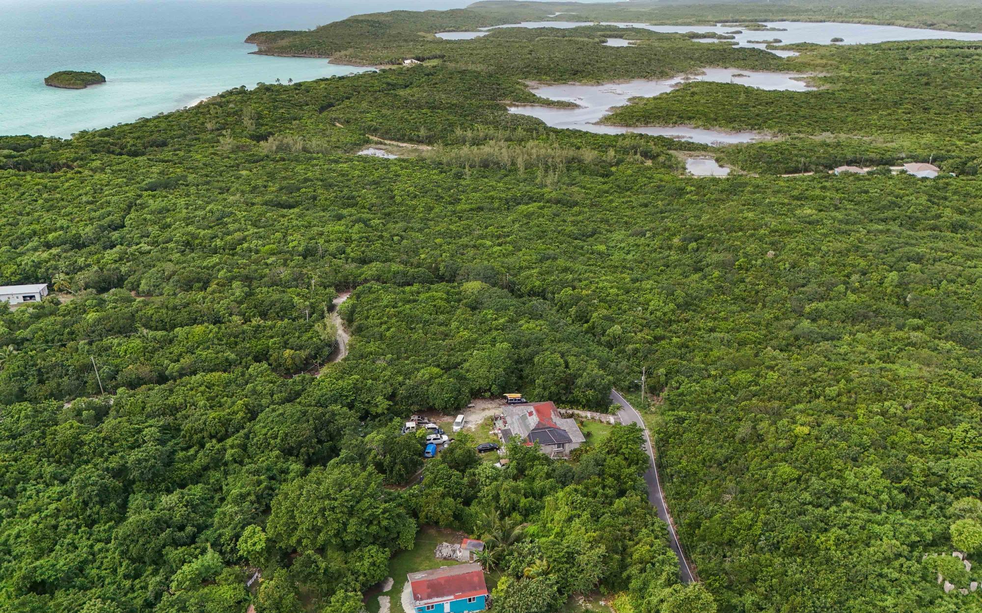 SOUTH PALMETTO POINT