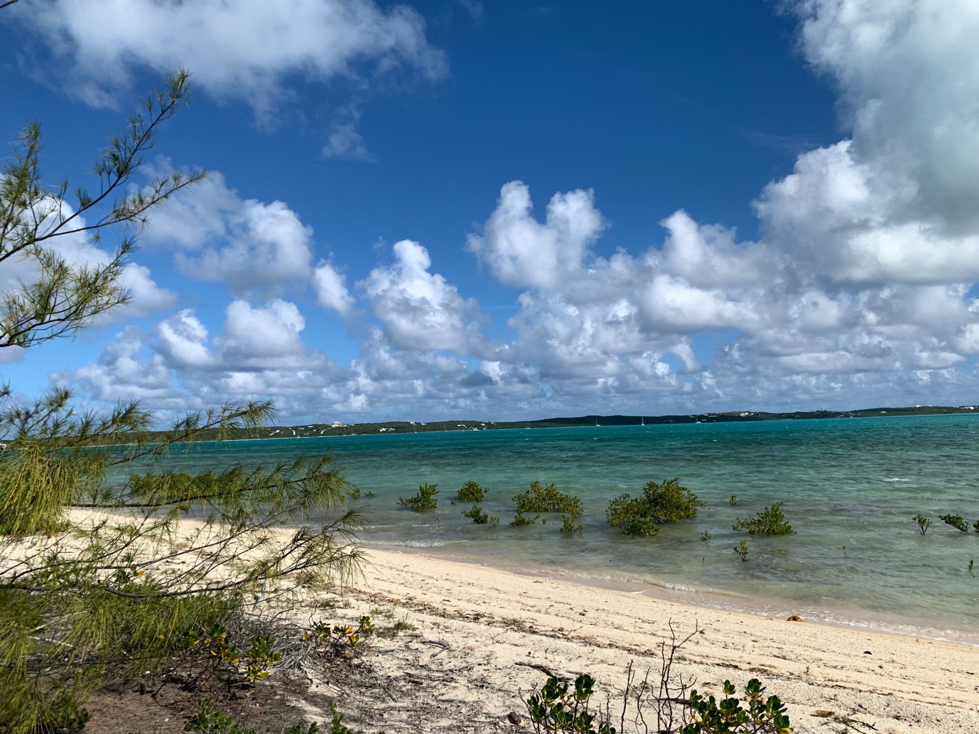 5.67 ACRE WATERFRONT LOT