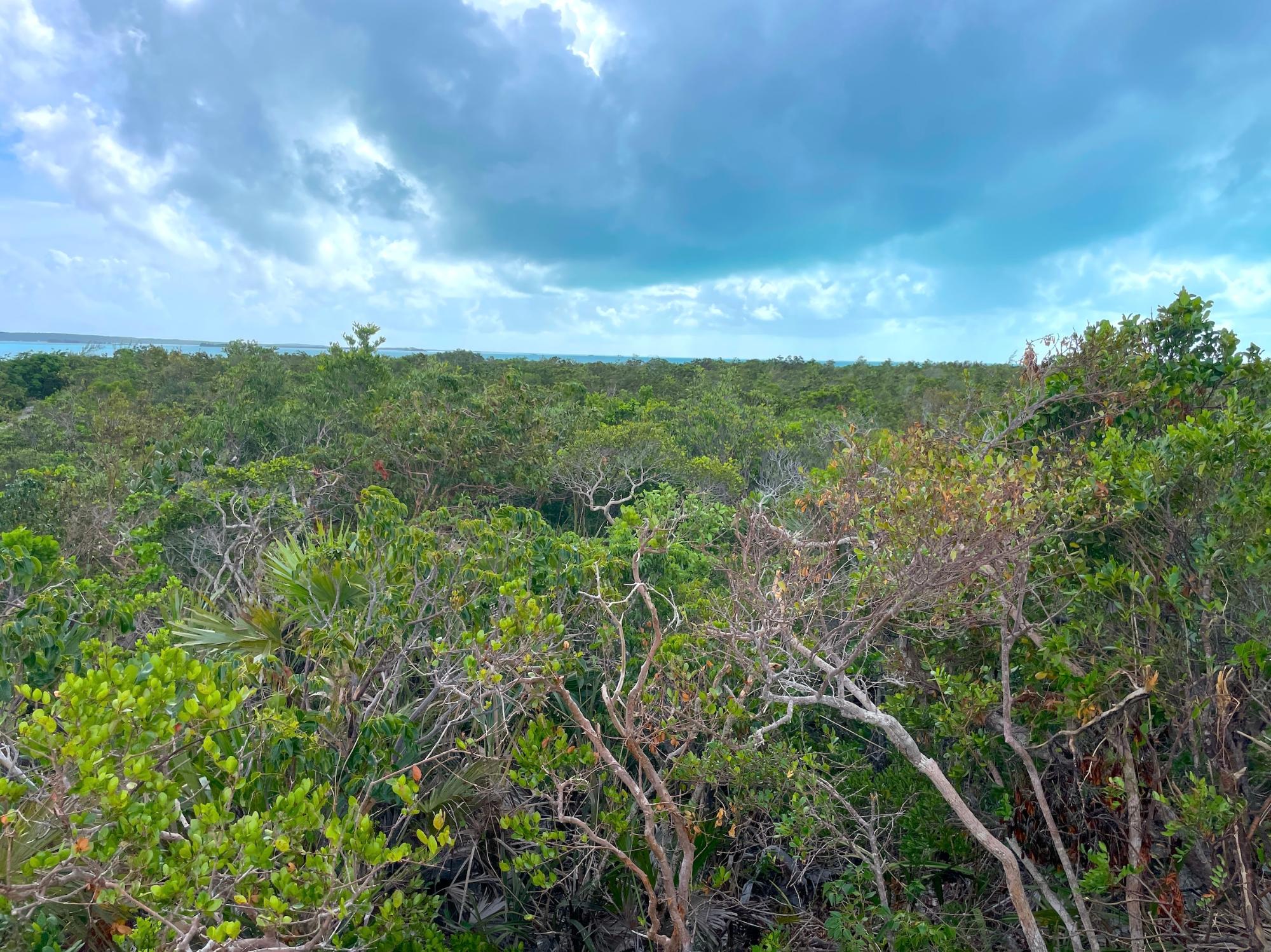 5.67 ACRE WATERFRONT LOT