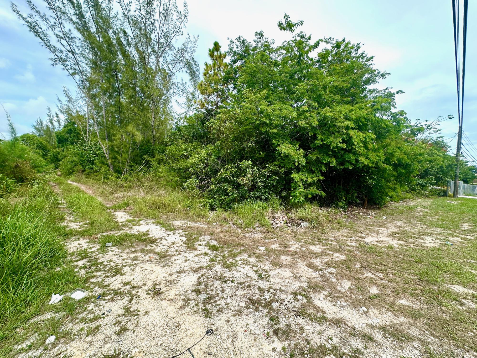 SOUTH OCEAN BOULEVARD