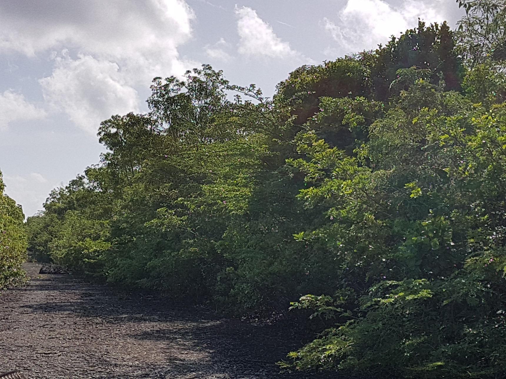 LOTS 5503 5504 BAH S  7E