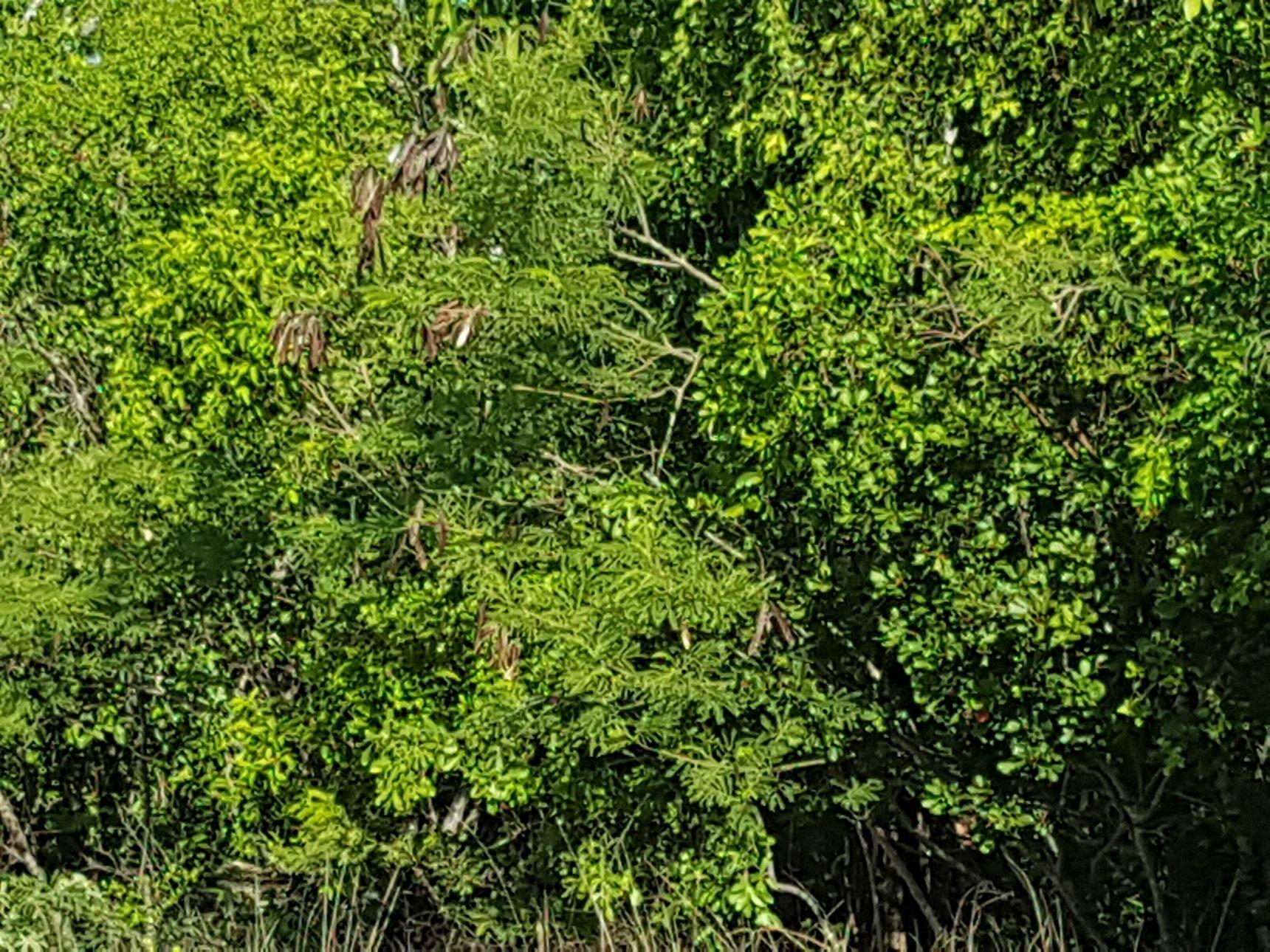 LOTS 5503 5504 BAH S  7E