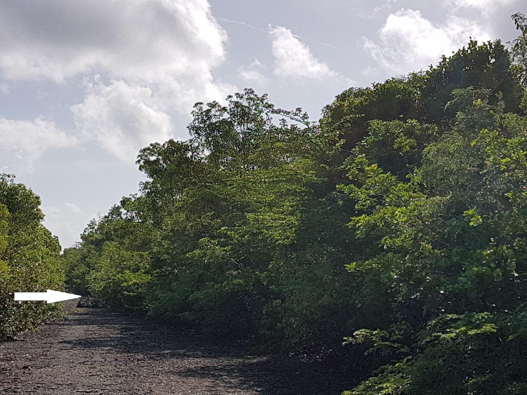 LOTS 5503 5504 BAH S  7E