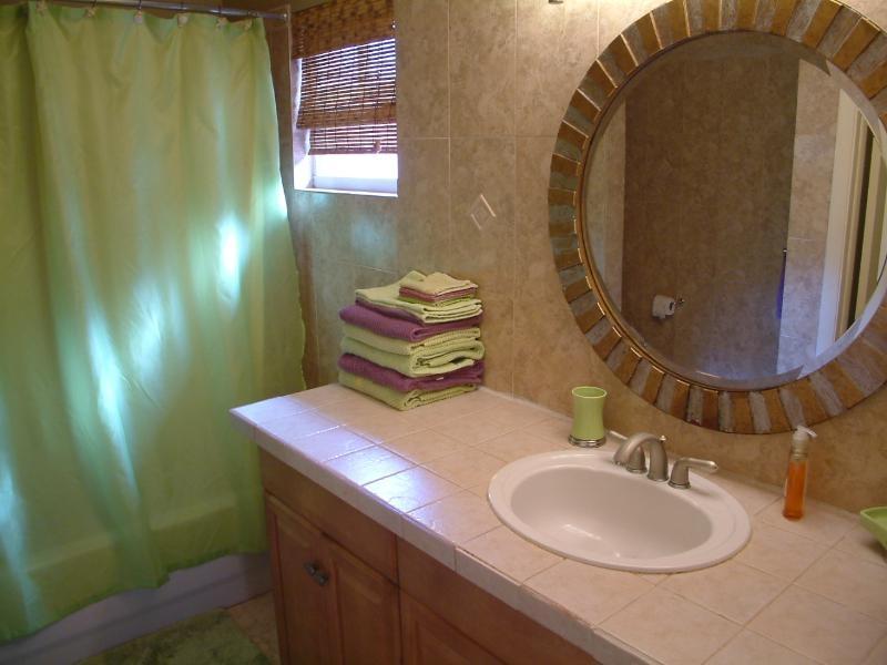 SCHOONER ROAD, FLAMINGO B