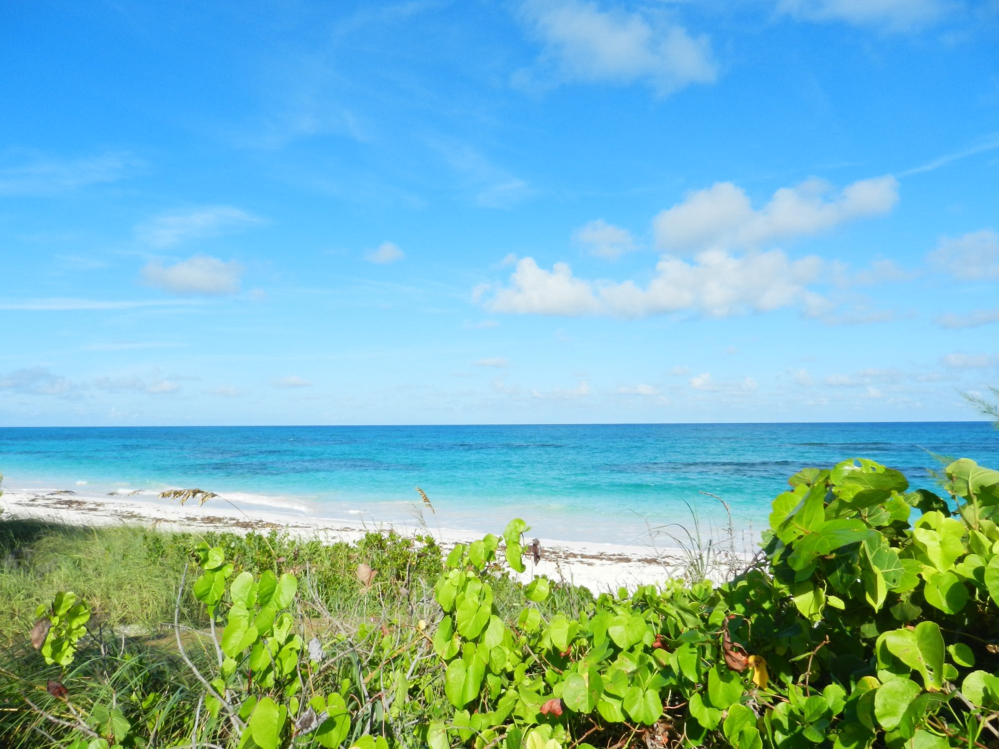 LOT 11 GREENWOOD ESTATES