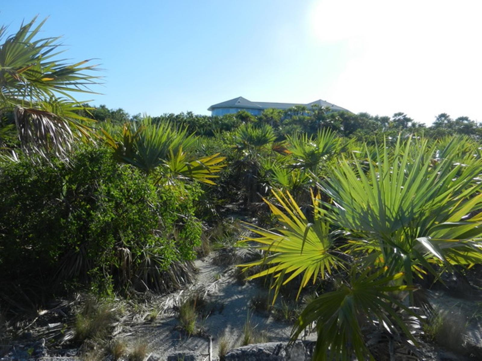 LOT 11 GREENWOOD ESTATES