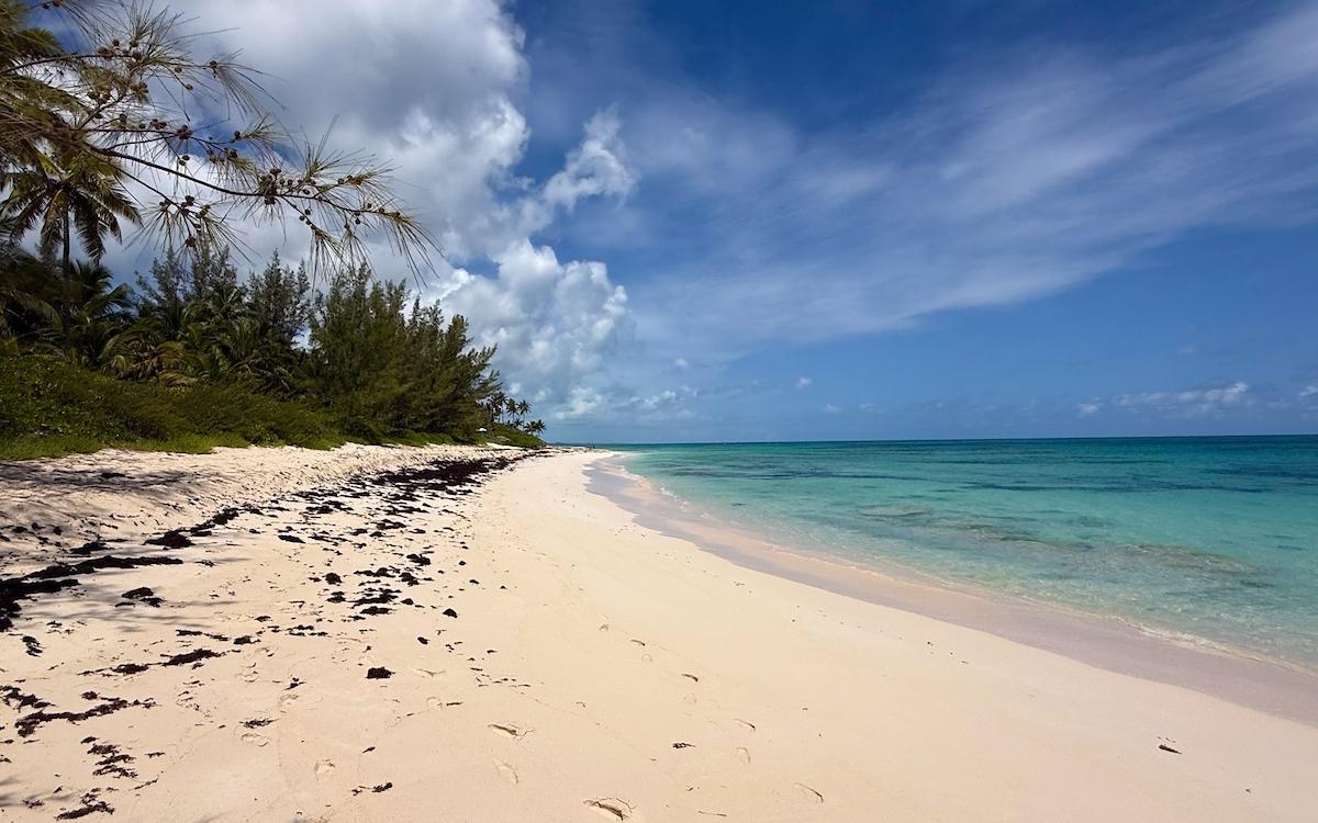 TROPICAL IMPLUSE BANKS RD